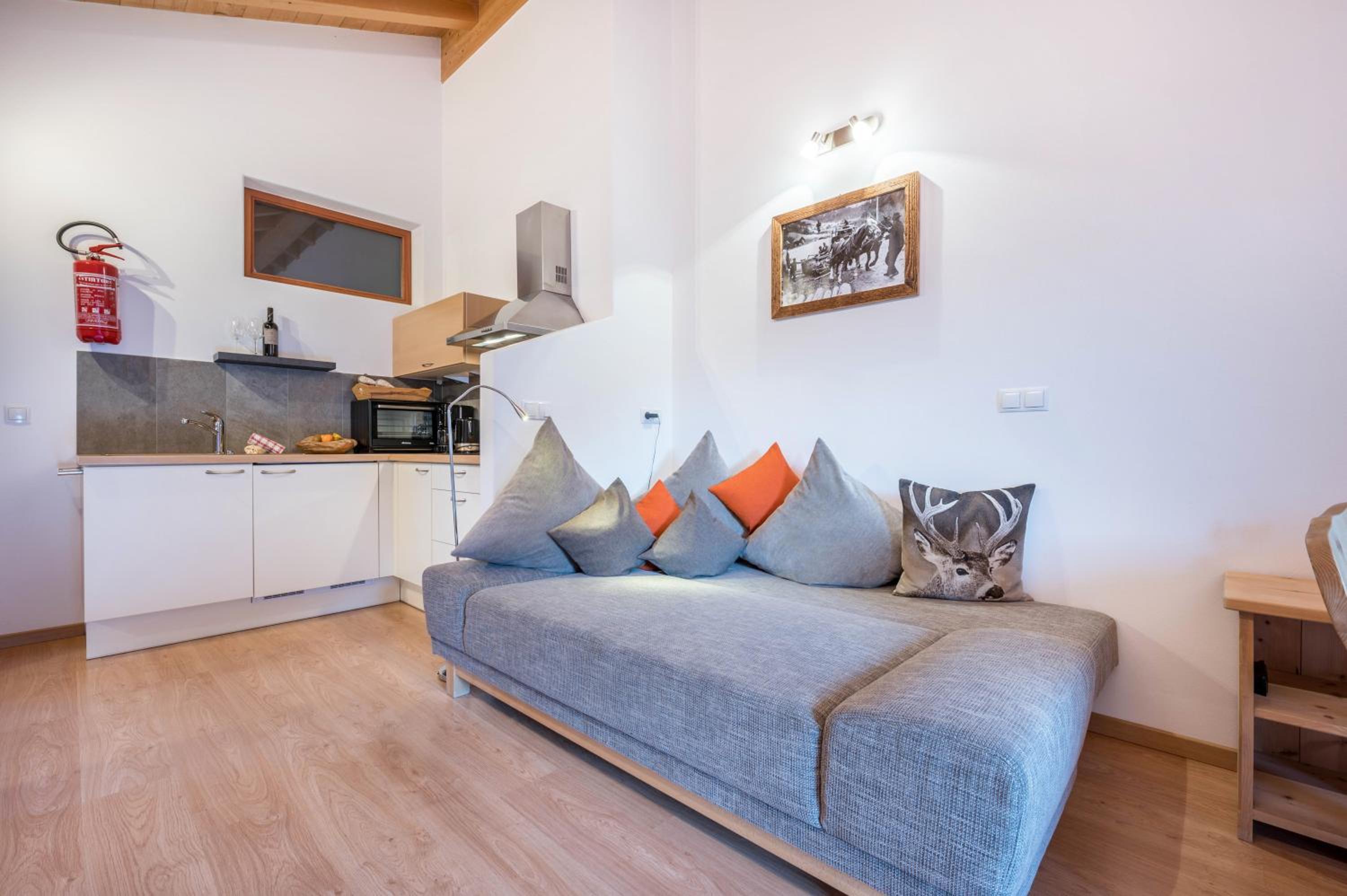 Superior One-Bedroom Apartment with Balcony photo 3