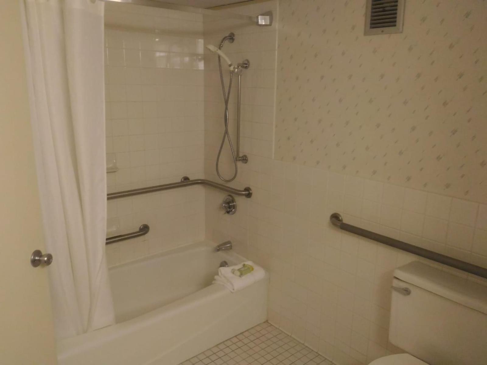 King Suite - Handicap Access - Photo 4
