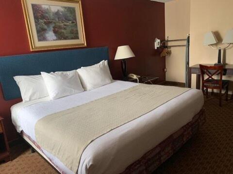 King Room - Disability Access - Photo 2