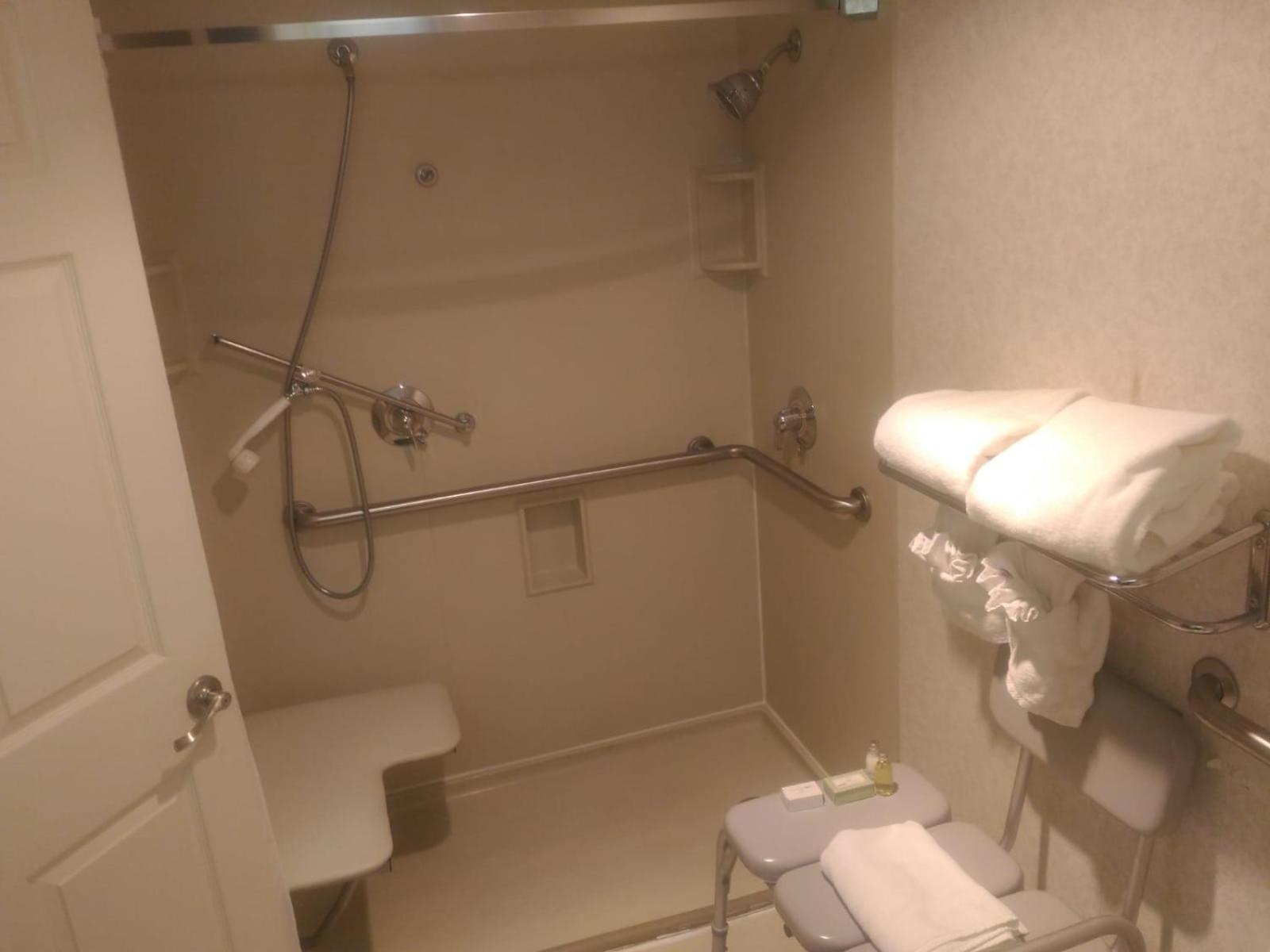 King Room with Roll-In Shower - Disability Access - Photo 6