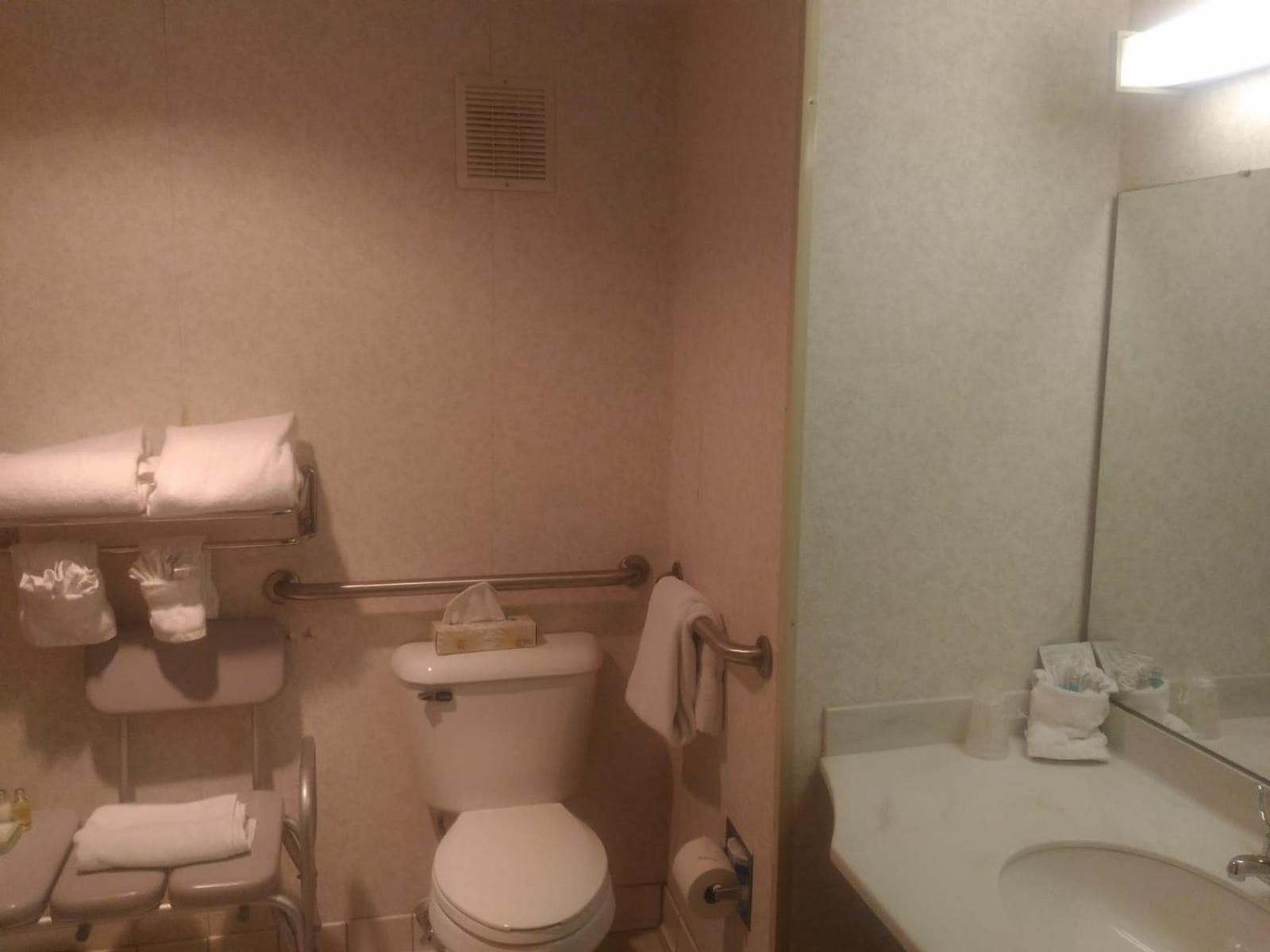 King Room with Roll-In Shower - Disability Access - Photo 5