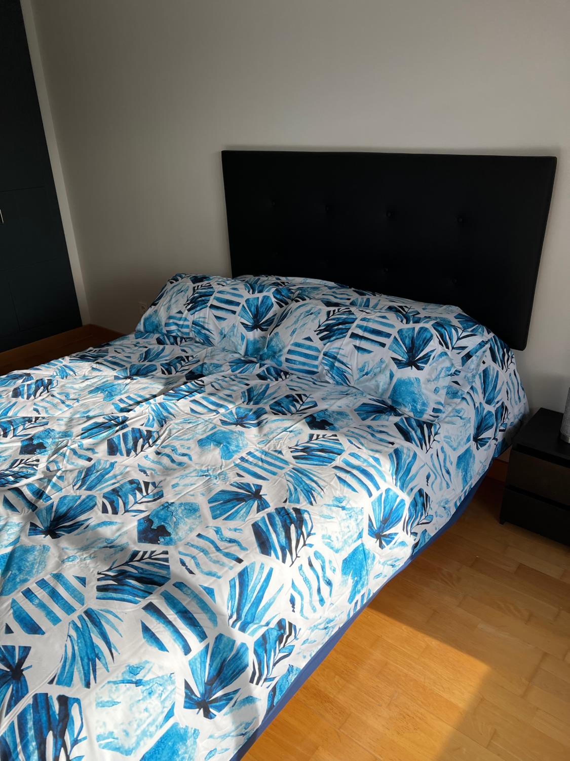One-Bedroom Apartment photo 3