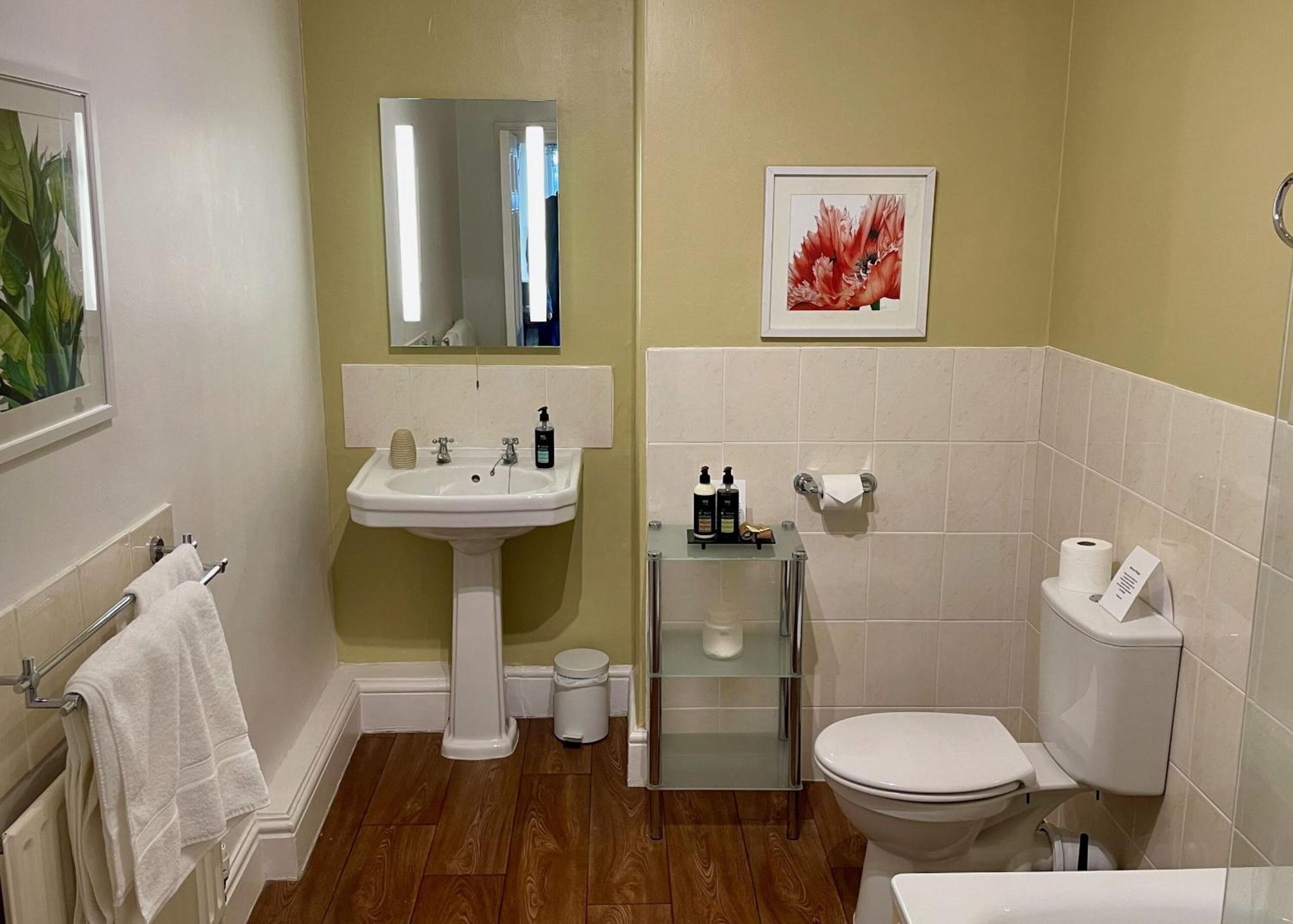 Deluxe King Suite photo 2