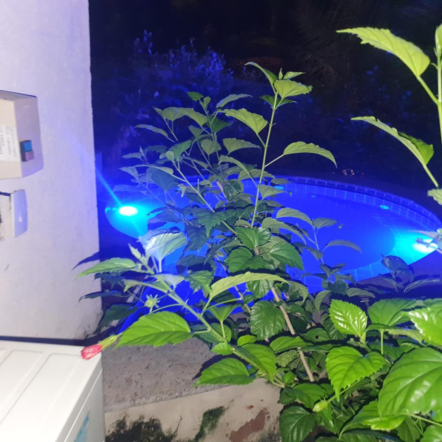 Deluxe Bungalow with Garden View - Photo 10