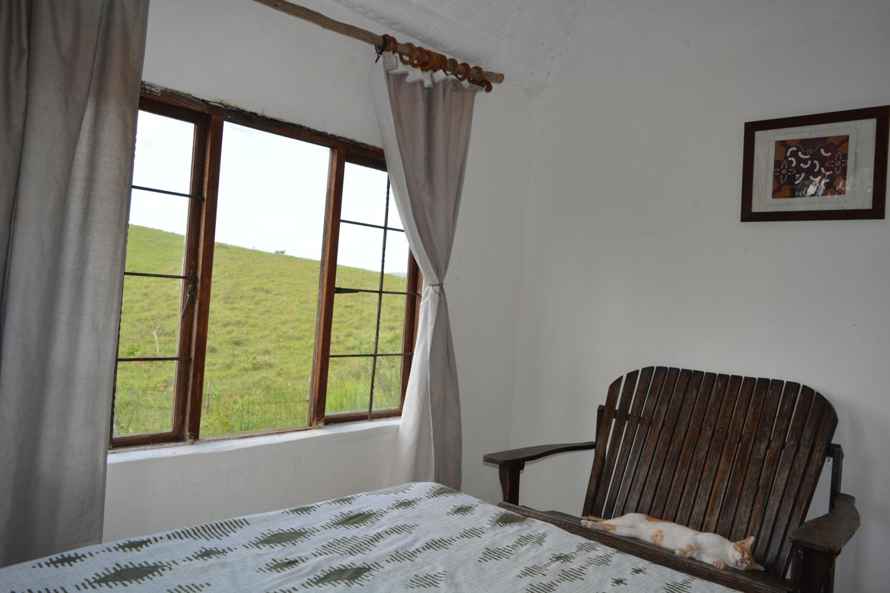 Double Room with Terrace photo 1