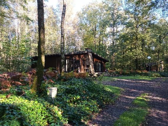 Two-Bedroom Chalet photo 1