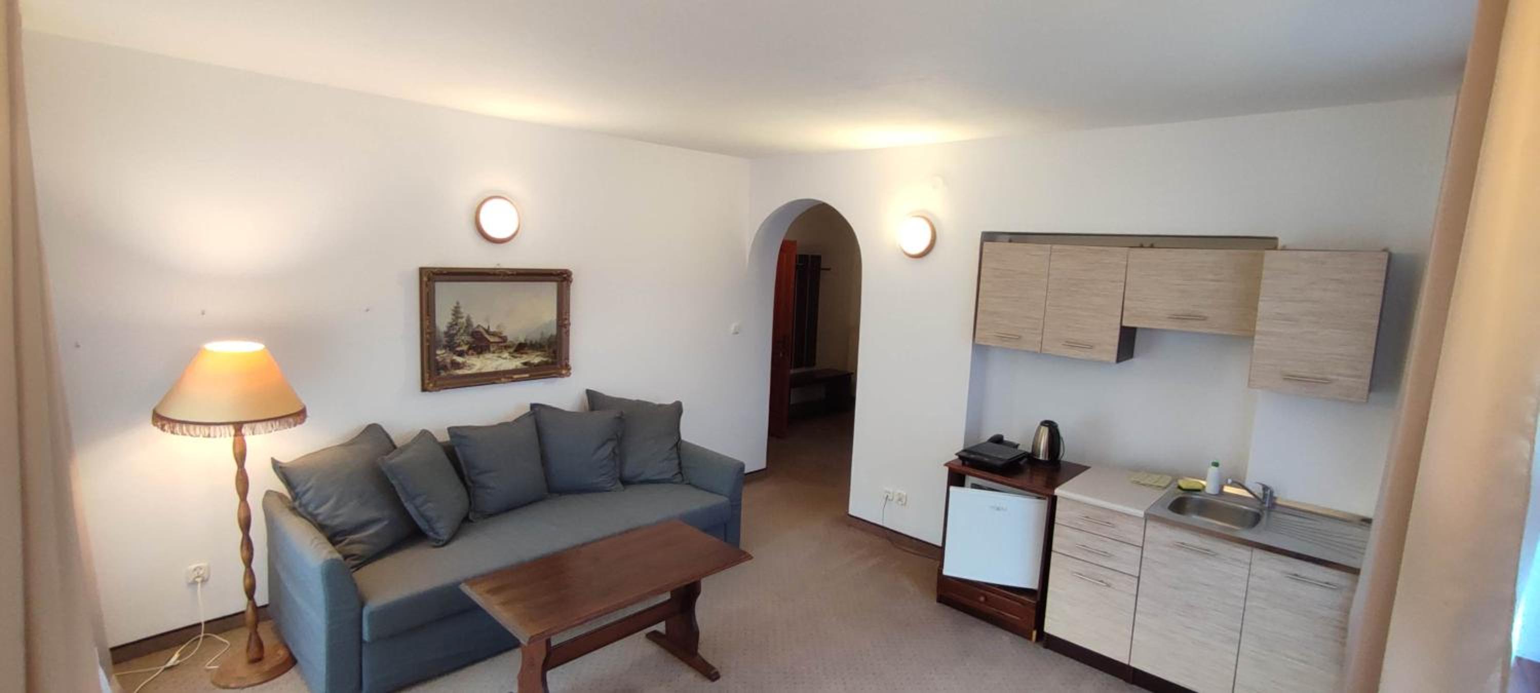 One-Bedroom Apartment photo 2