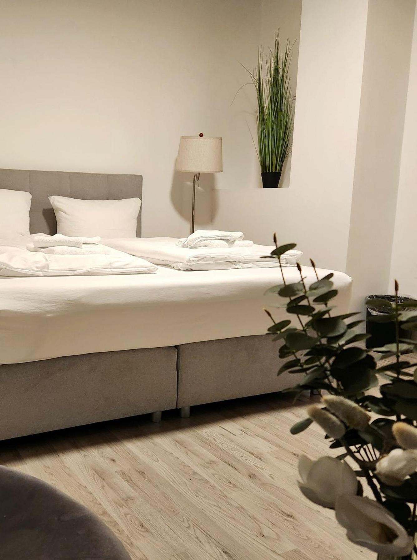 Superior Double Room photo 1