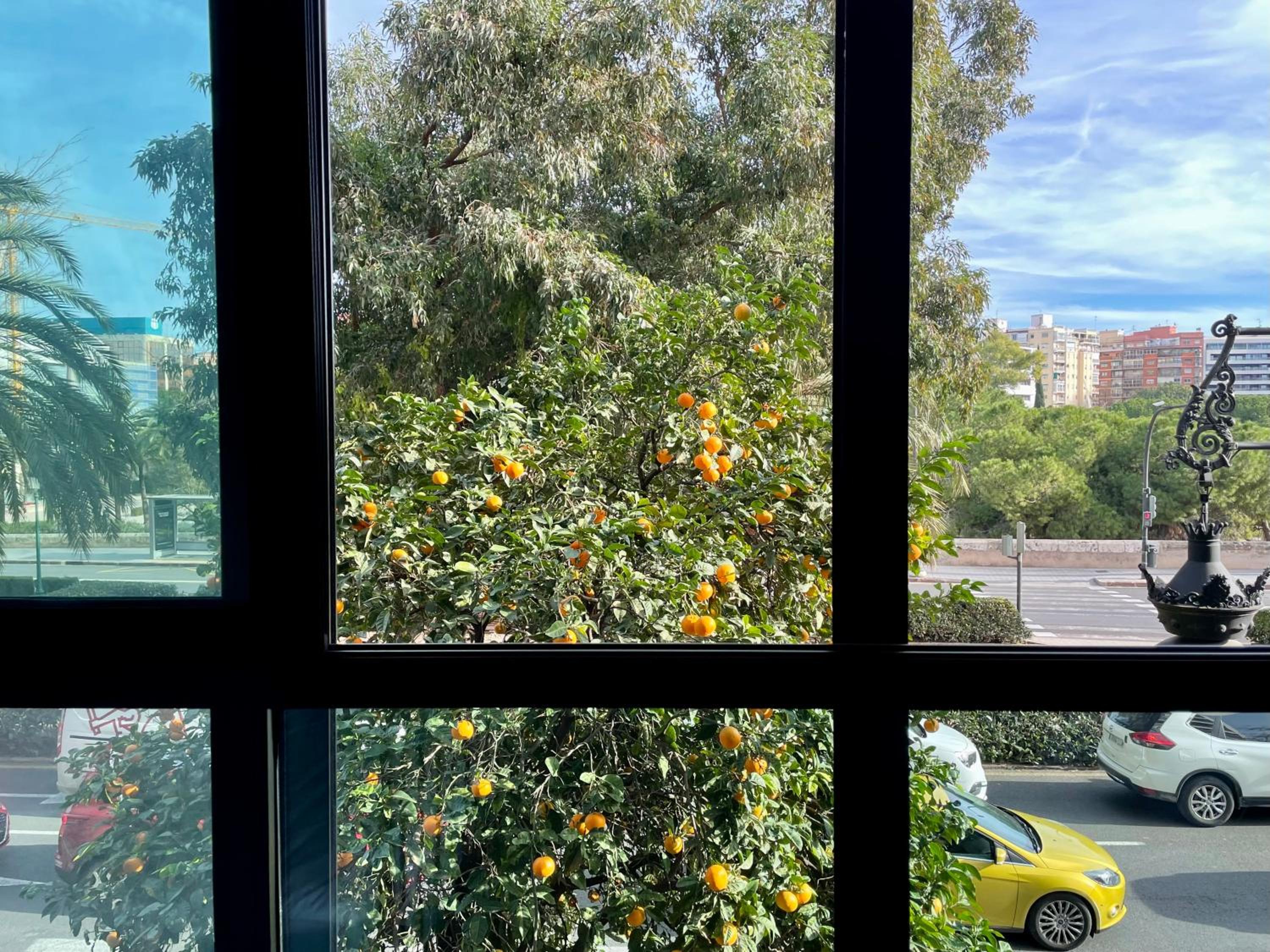 Superior Double Room with Views - Photo 41