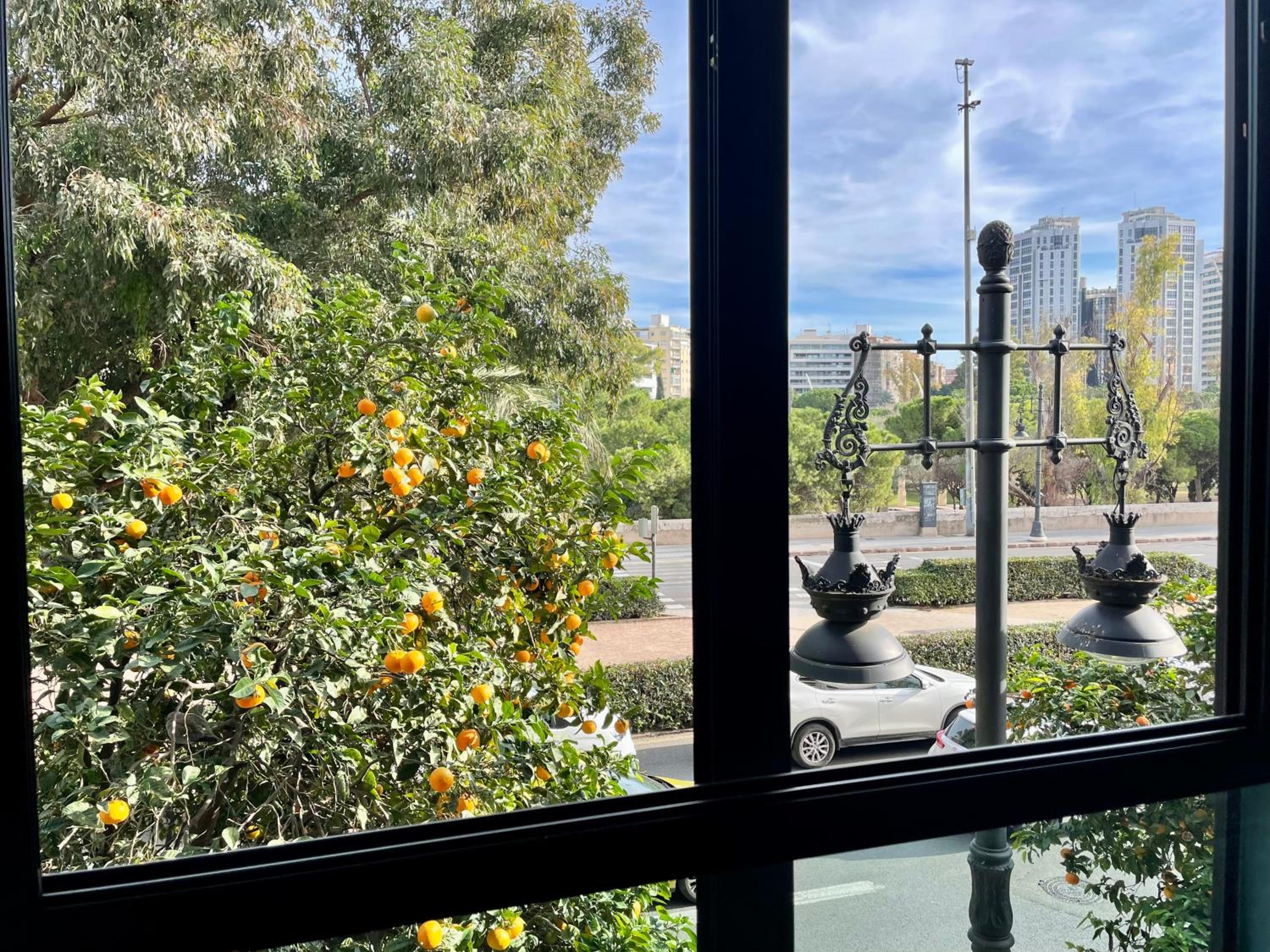 Superior Double Room with Views - Photo 60