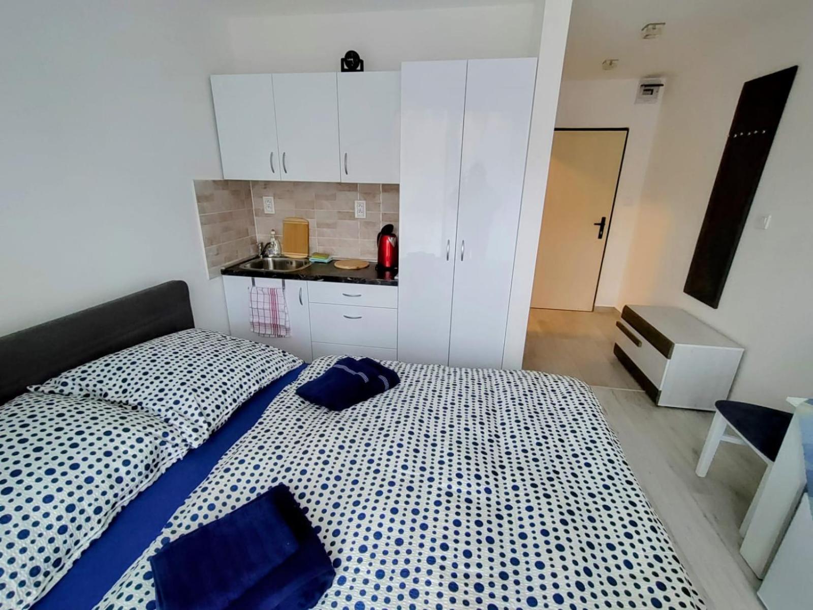 One-Bedroom Apartment photo 3