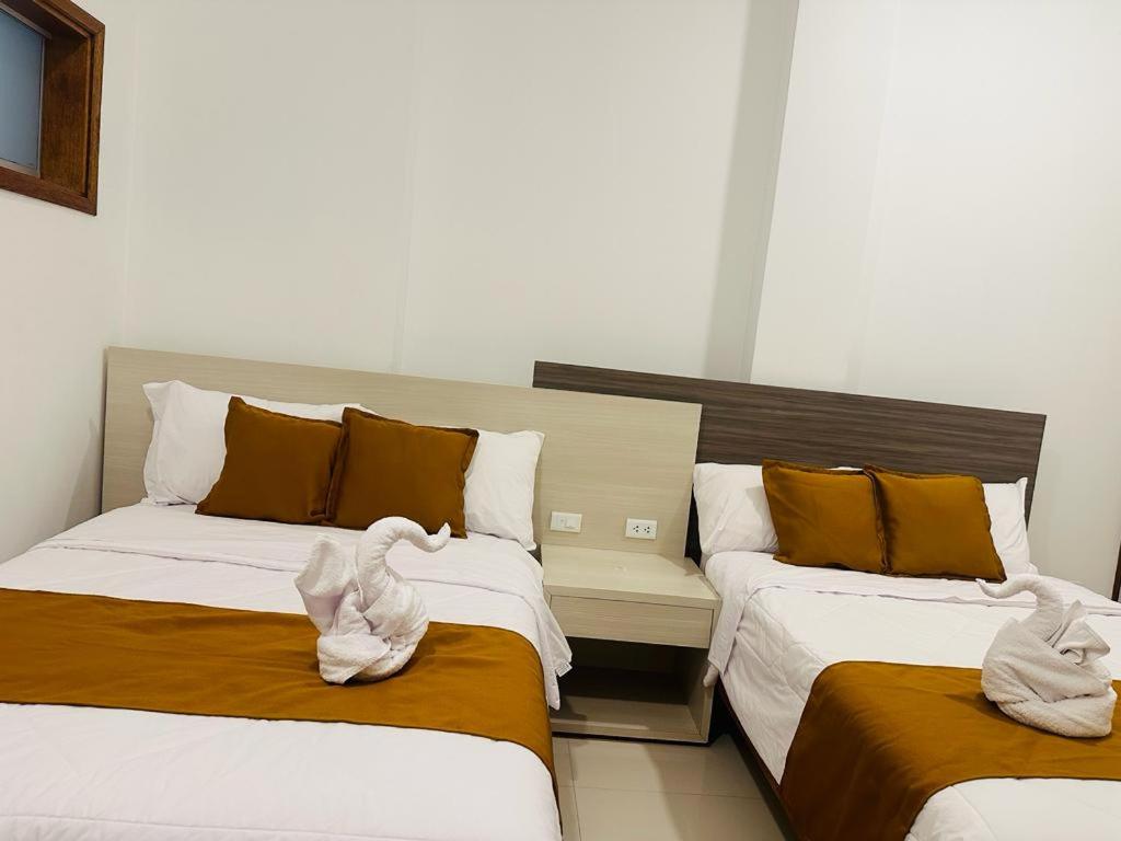 Double Room photo 3