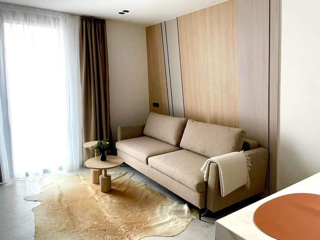 One-Bedroom Apartment photo 3