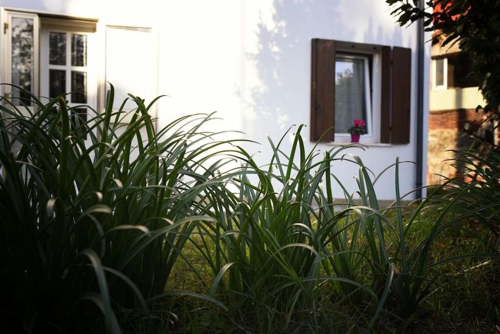 Two-Bedroom House photo 3