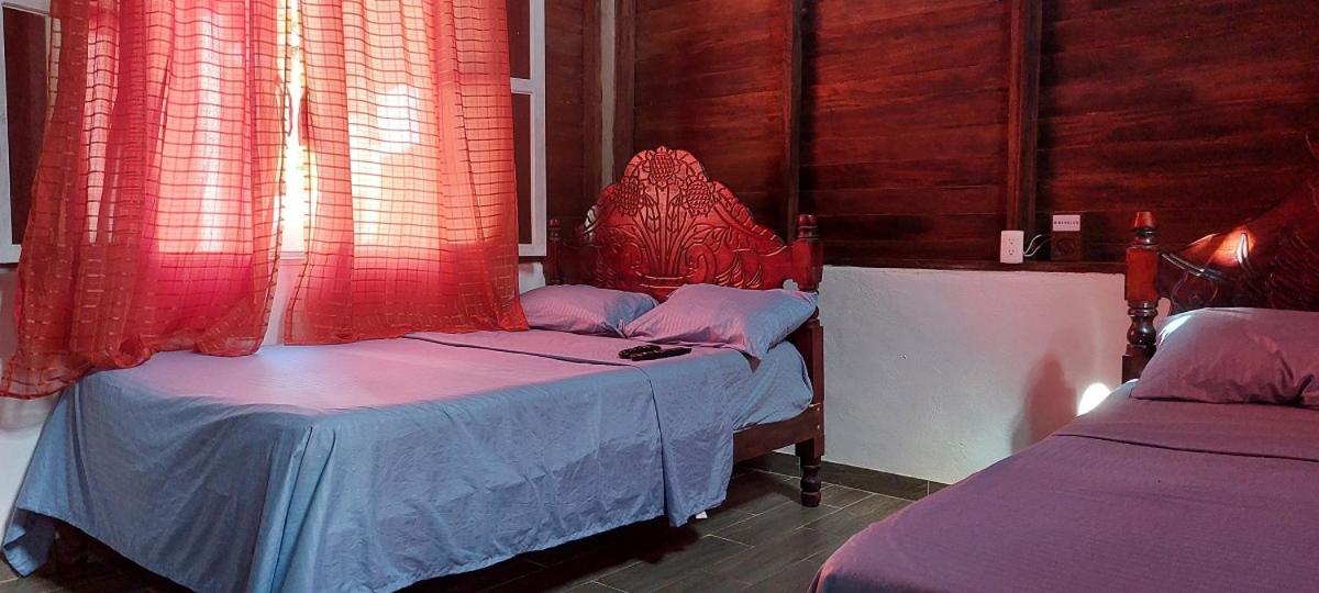 Quadruple Room with Private Bathroom - Photo 6