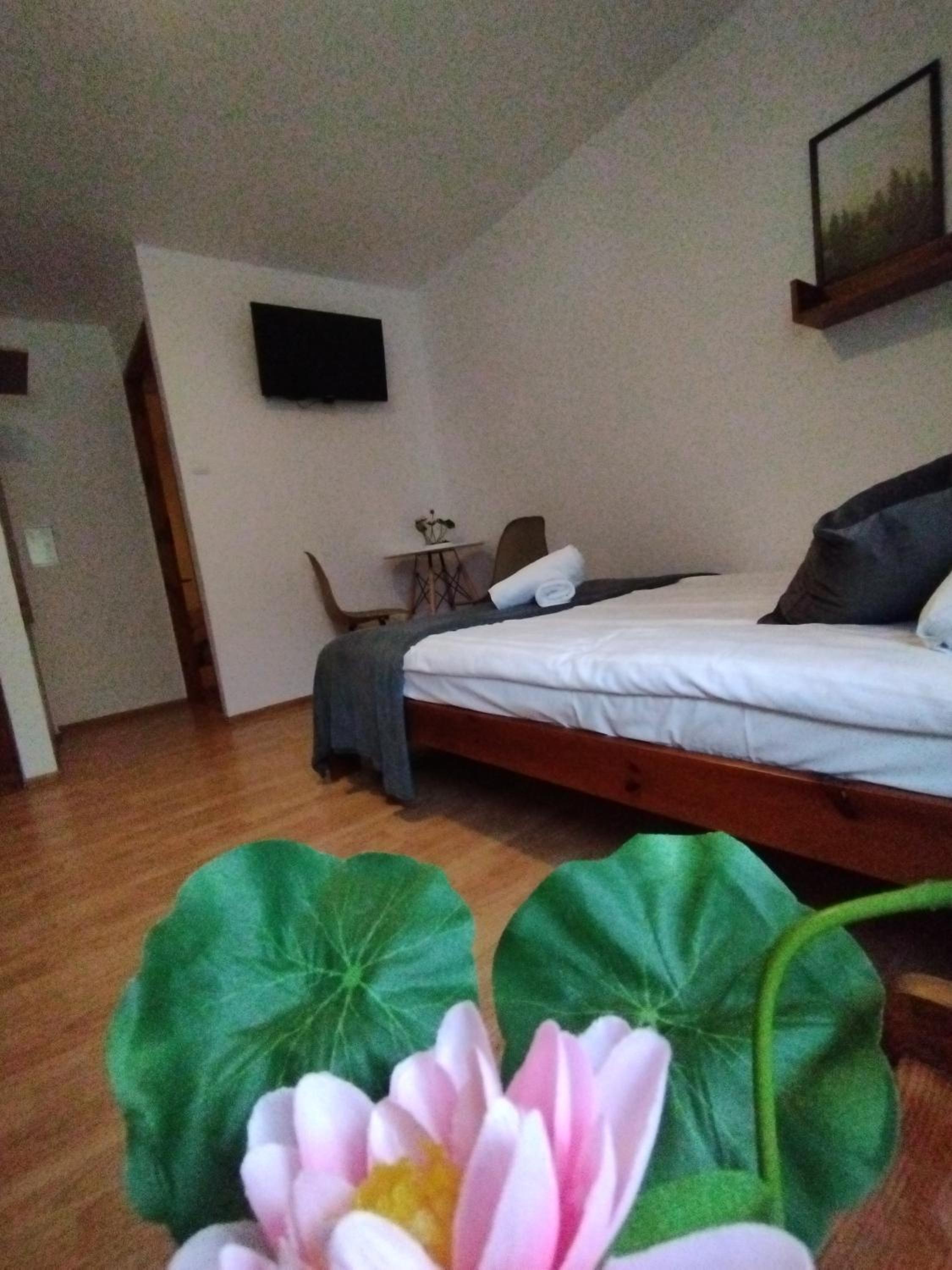 Quadruple Room photo 3