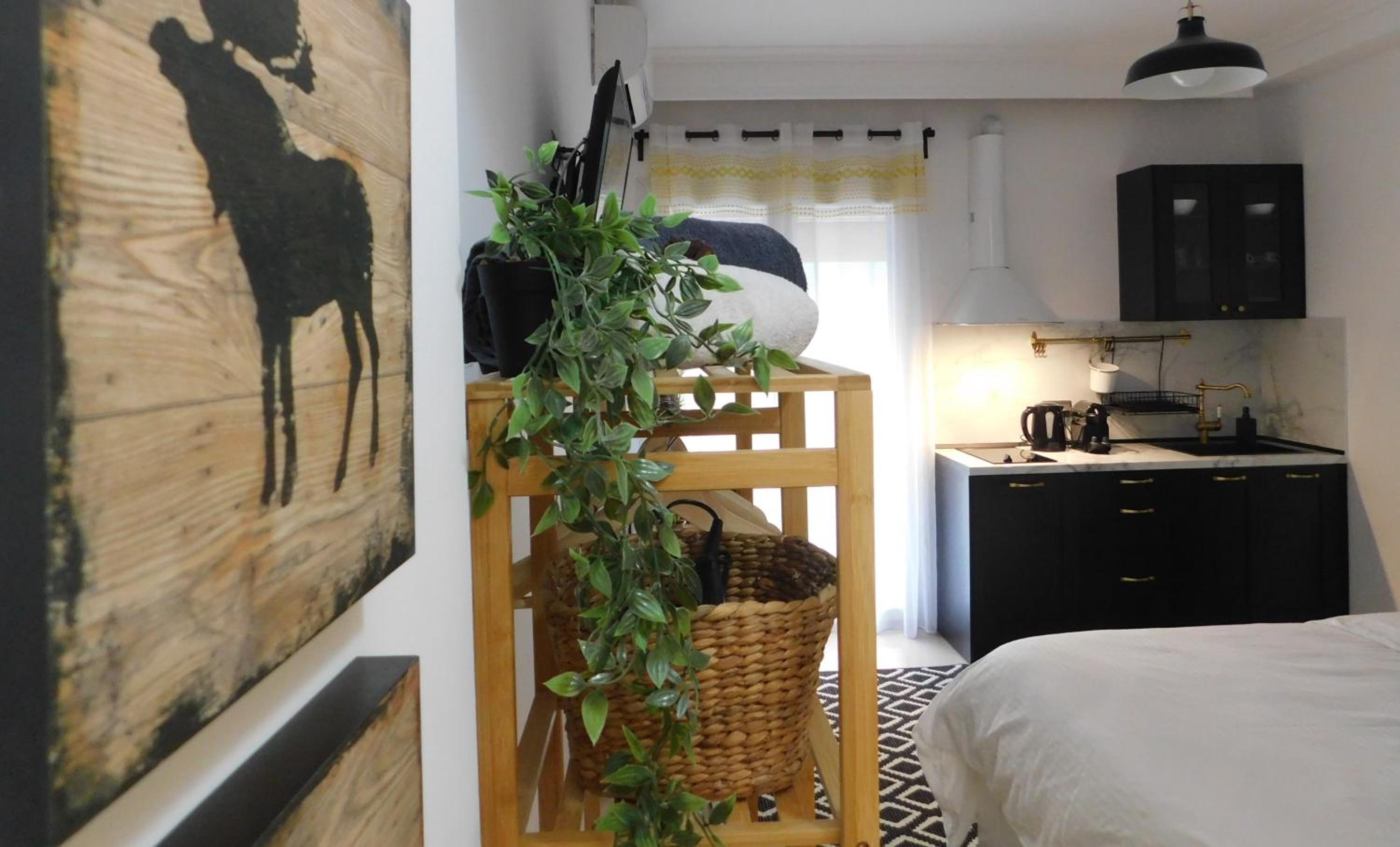 Studio with Balcony photo 1