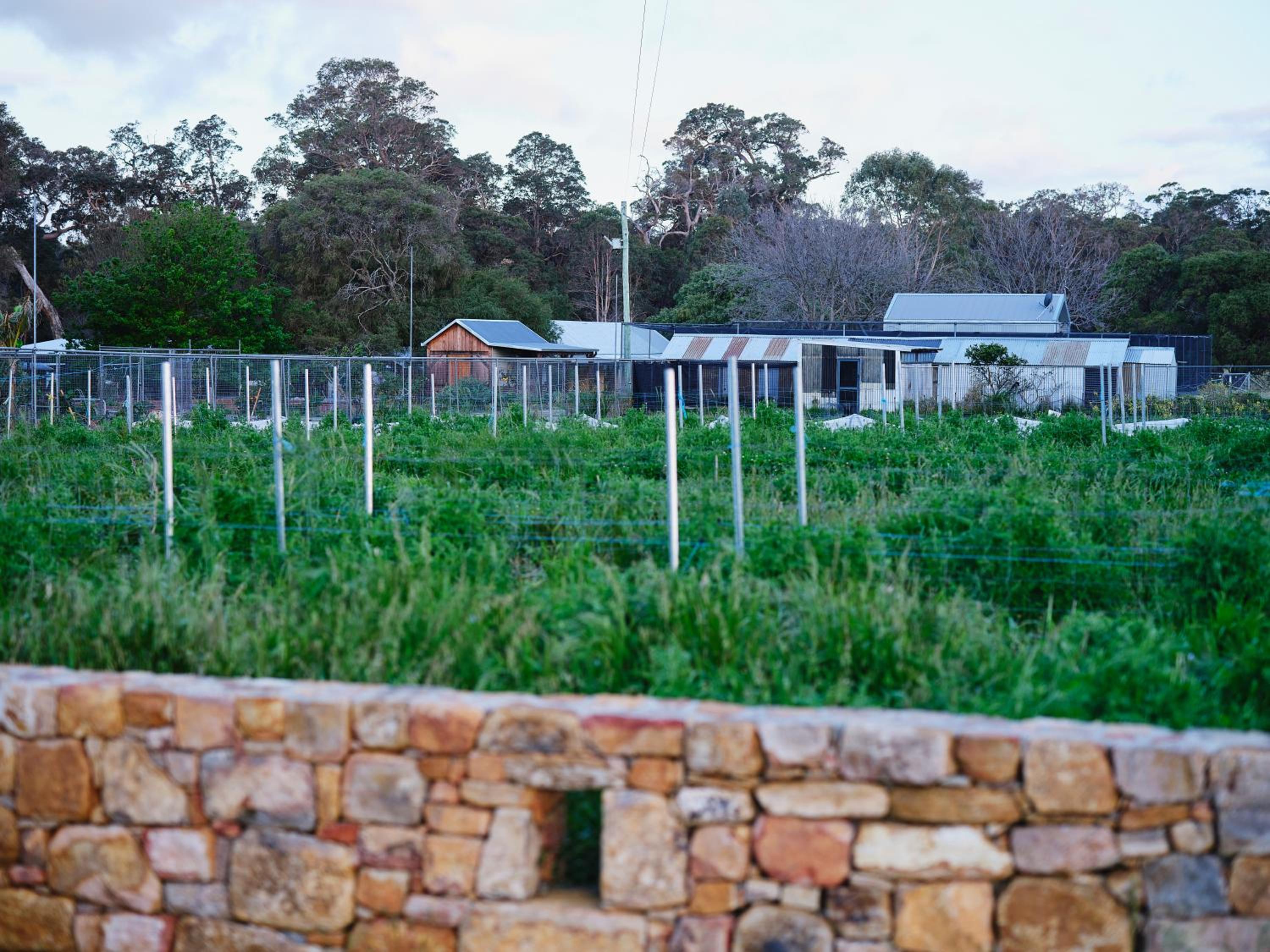 Deluxe Bungalow with Garden View photo 3