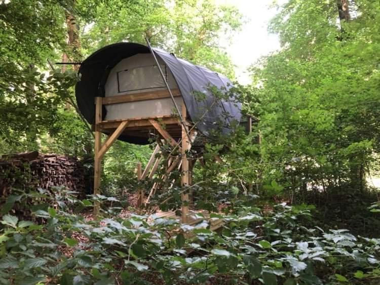 Tent - Photo 2