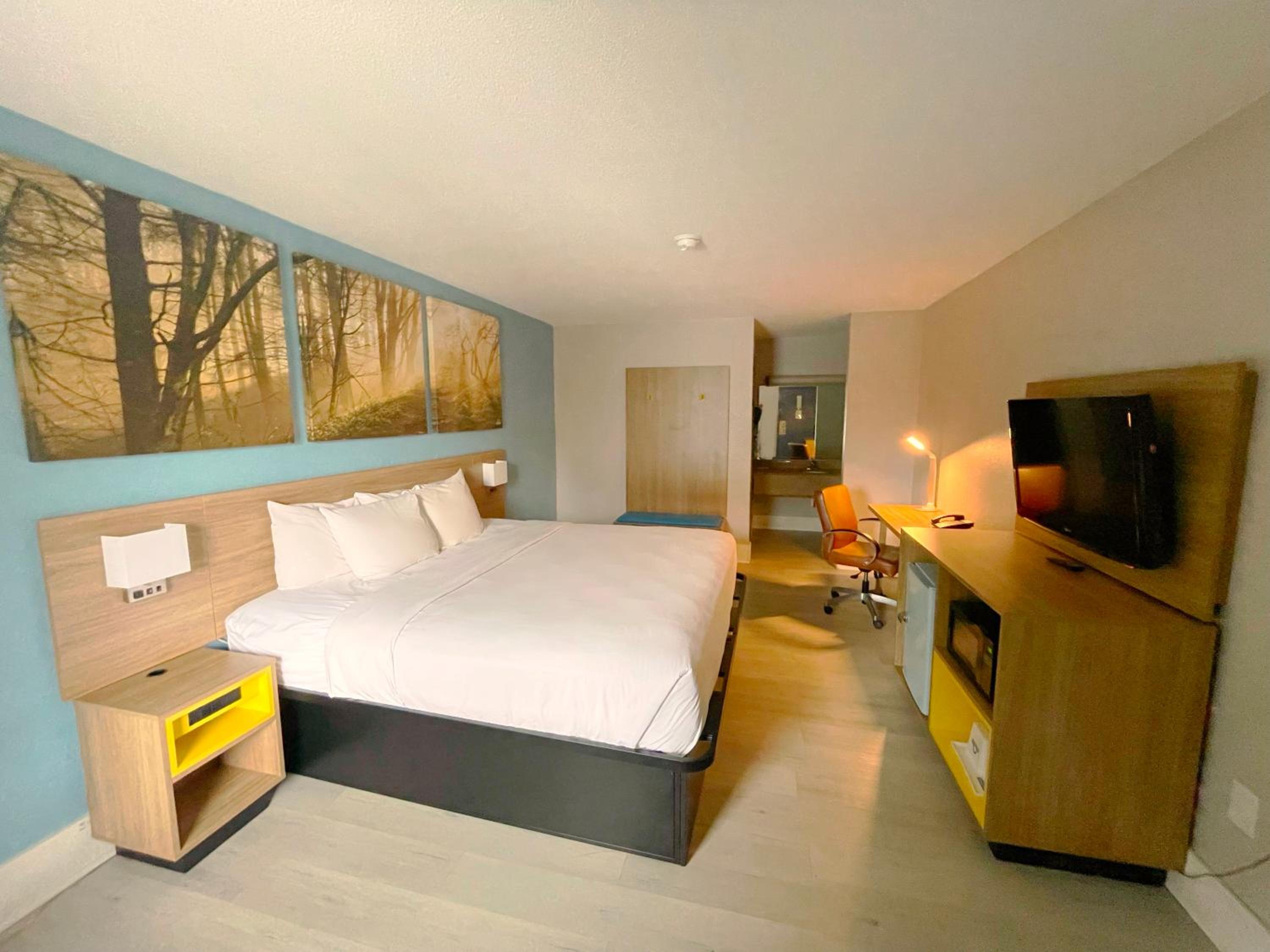 King Room - Non-Smoking - Photo 1