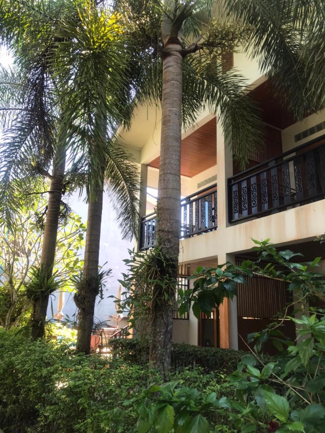 Double Room with Patio photo 2