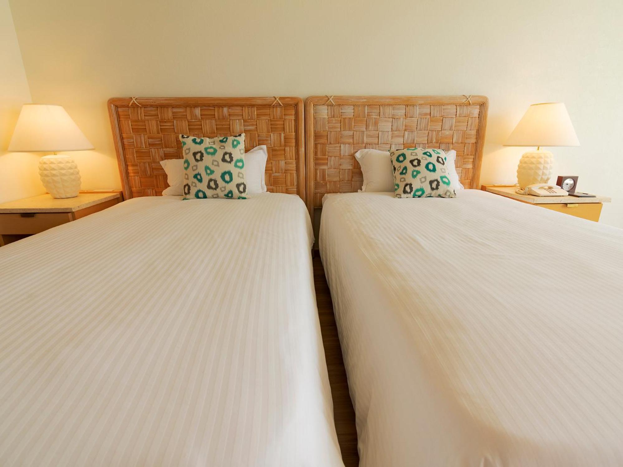 Premium Room with Mountain View -Non smoking (Stacking Bed for 3+ guests) - Photo 5