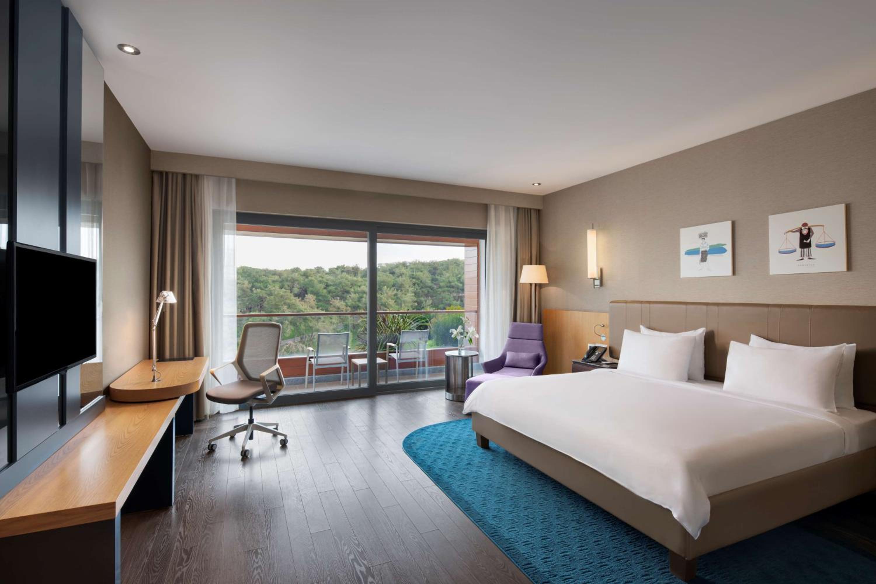 Premium Room with Terrace photo 1