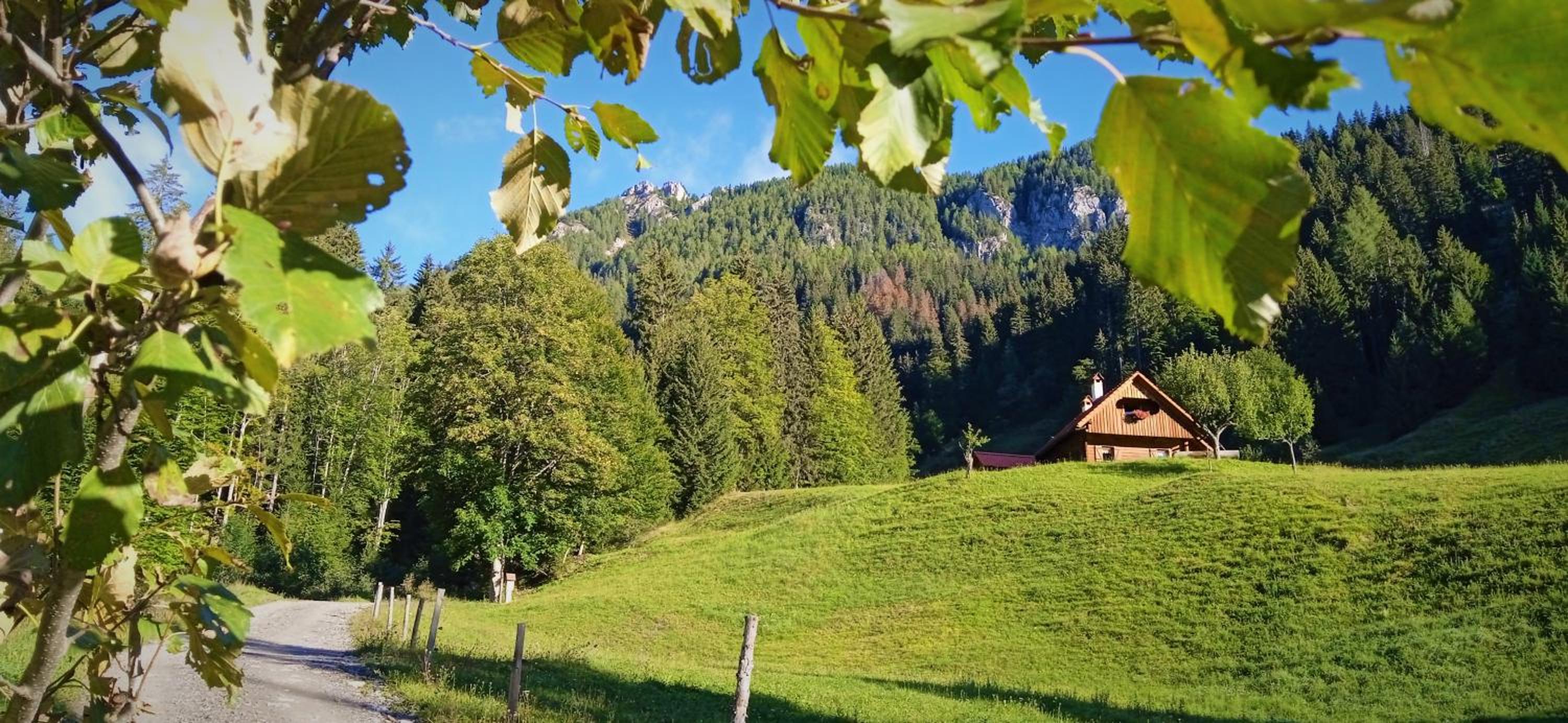 Chalet photo 3