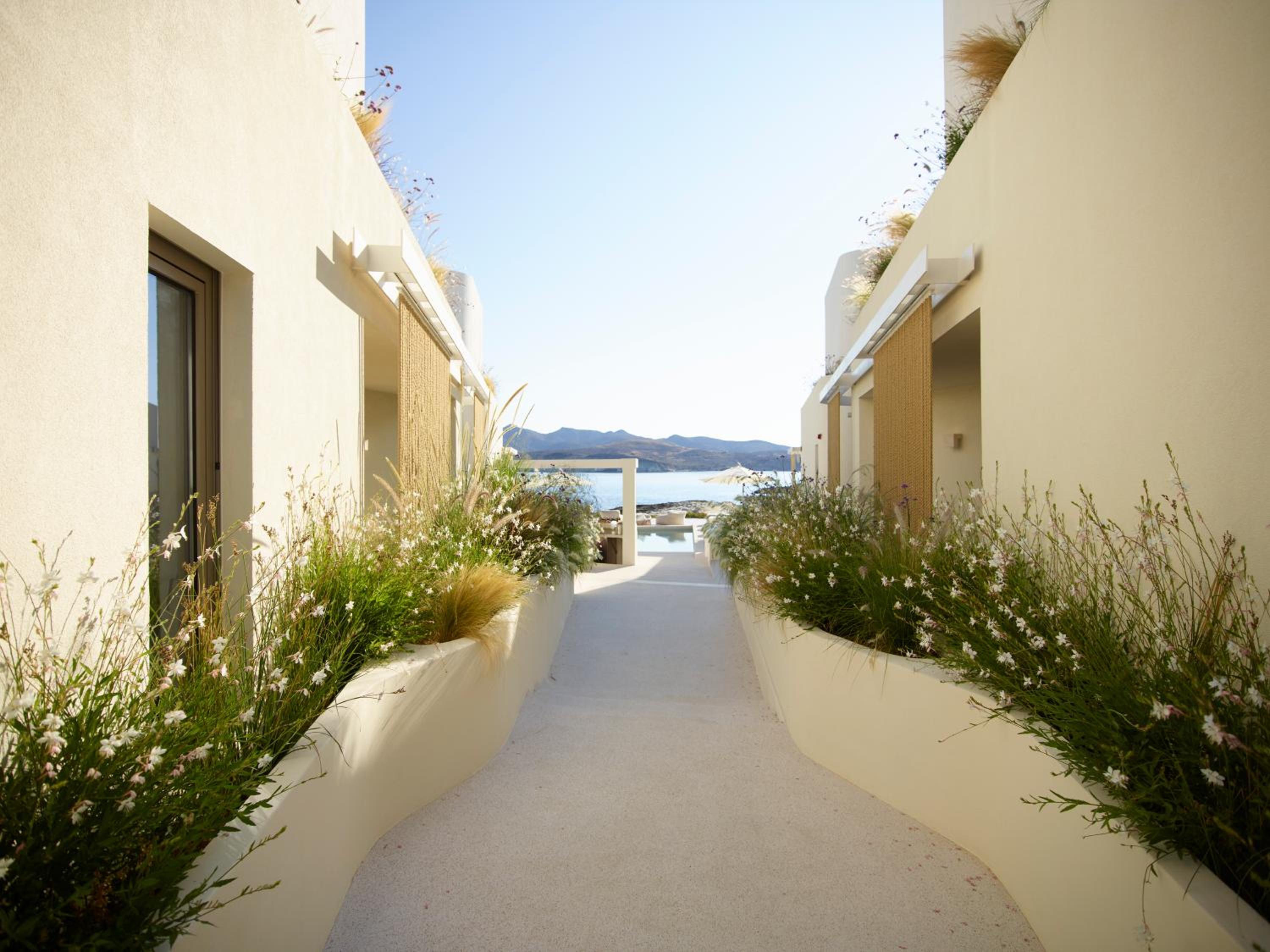 Deluxe Suite with coastal view - Photo 14