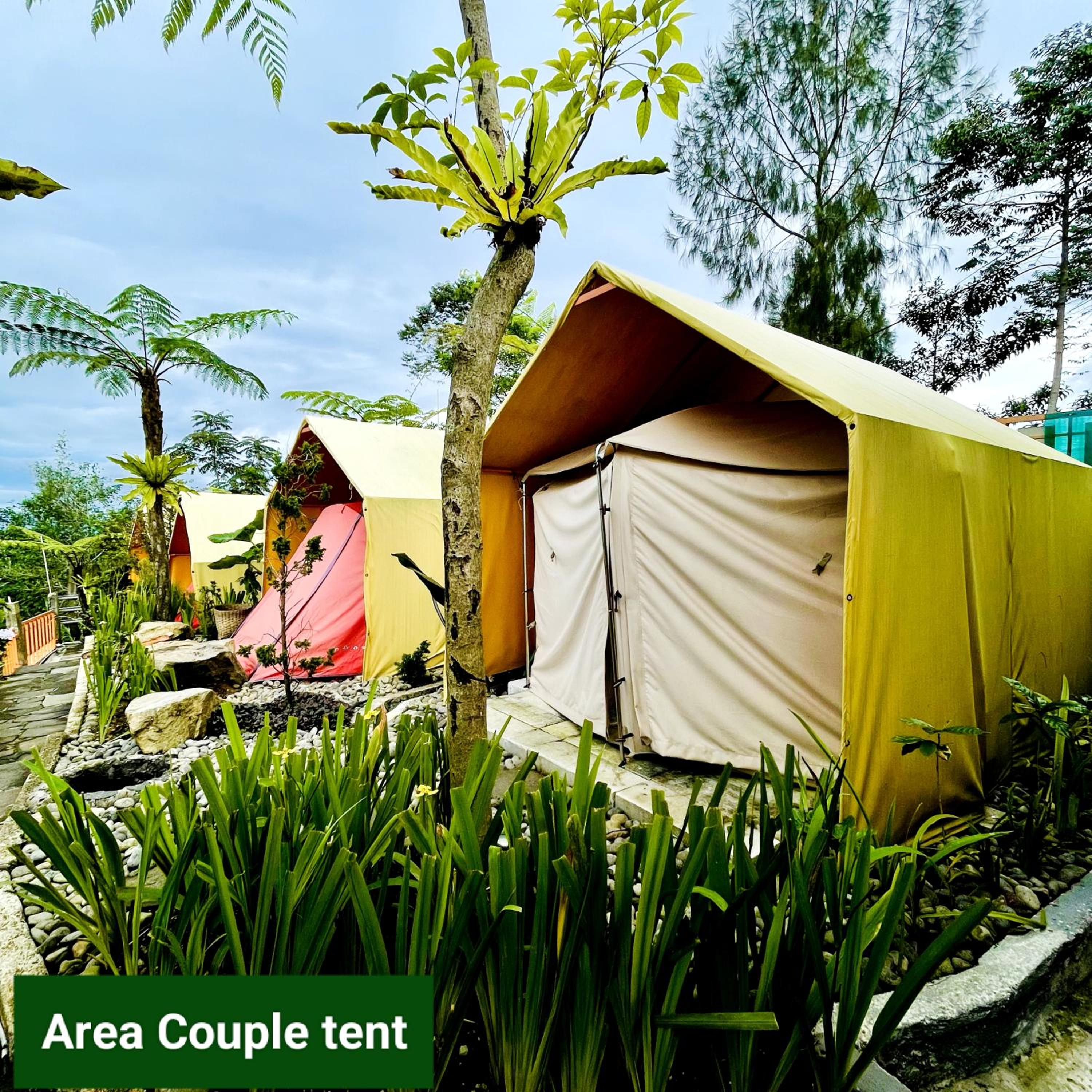 Tent photo 3
