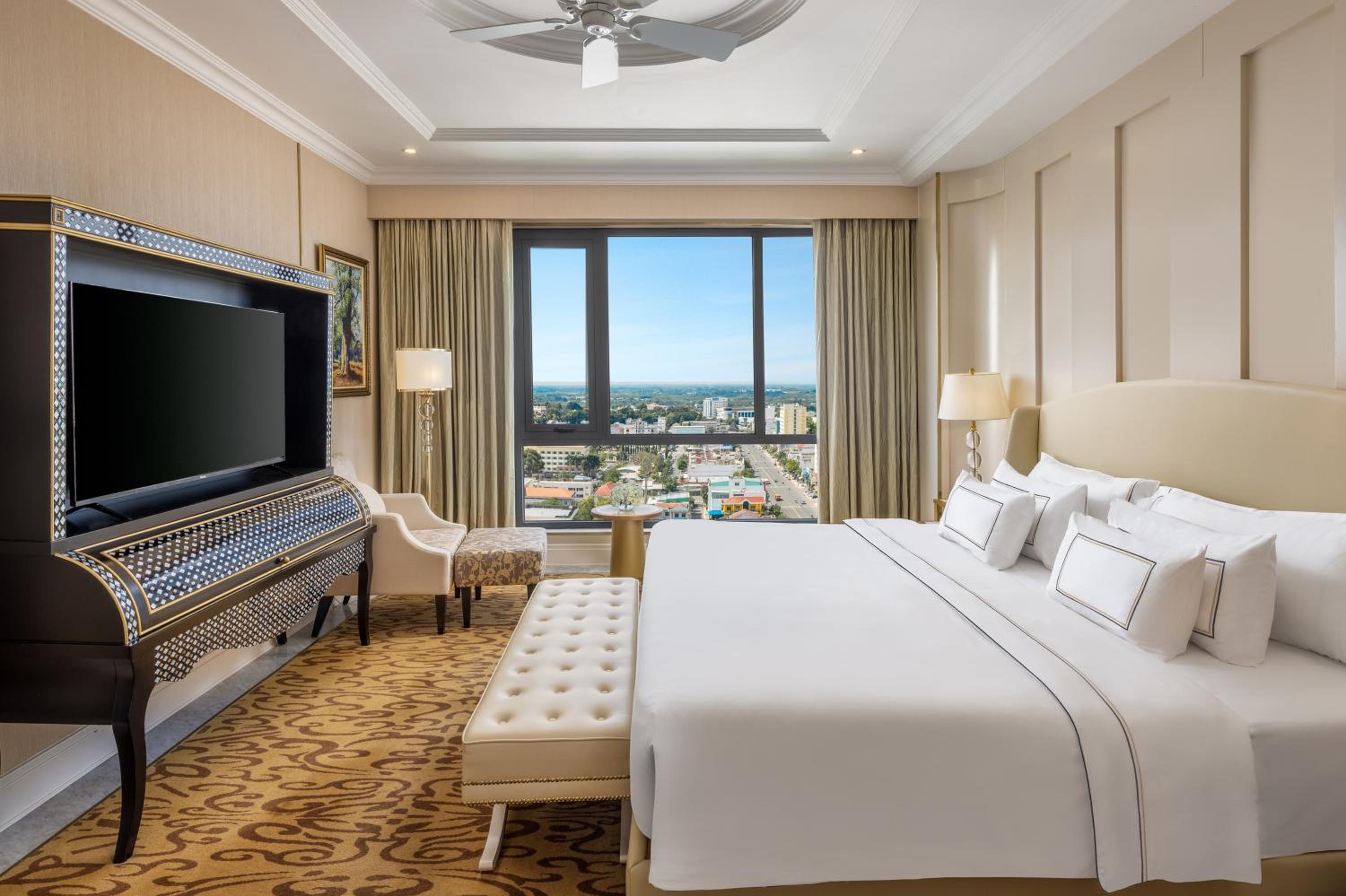 Suite - Photo 1