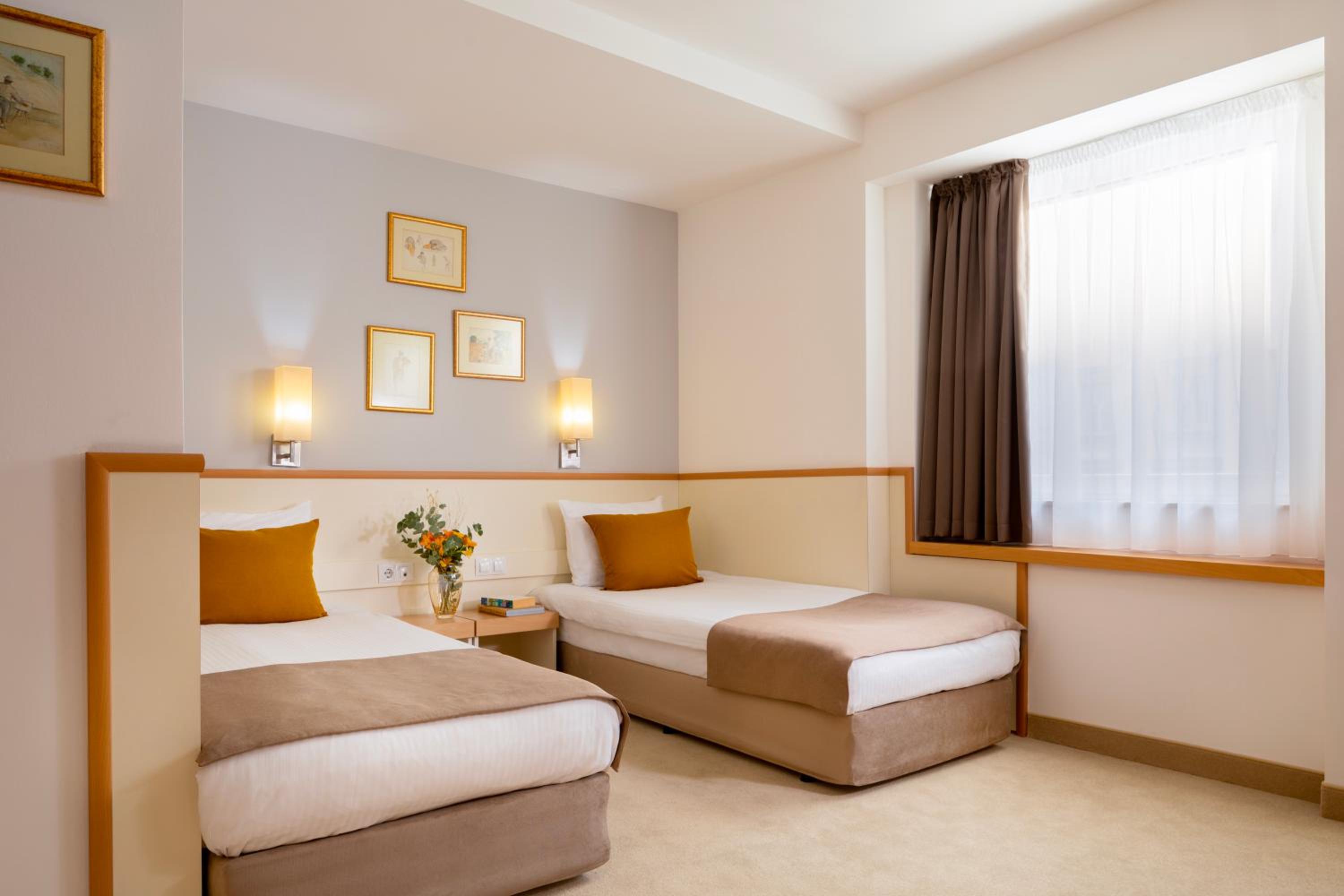 Deluxe Twin Room photo 1