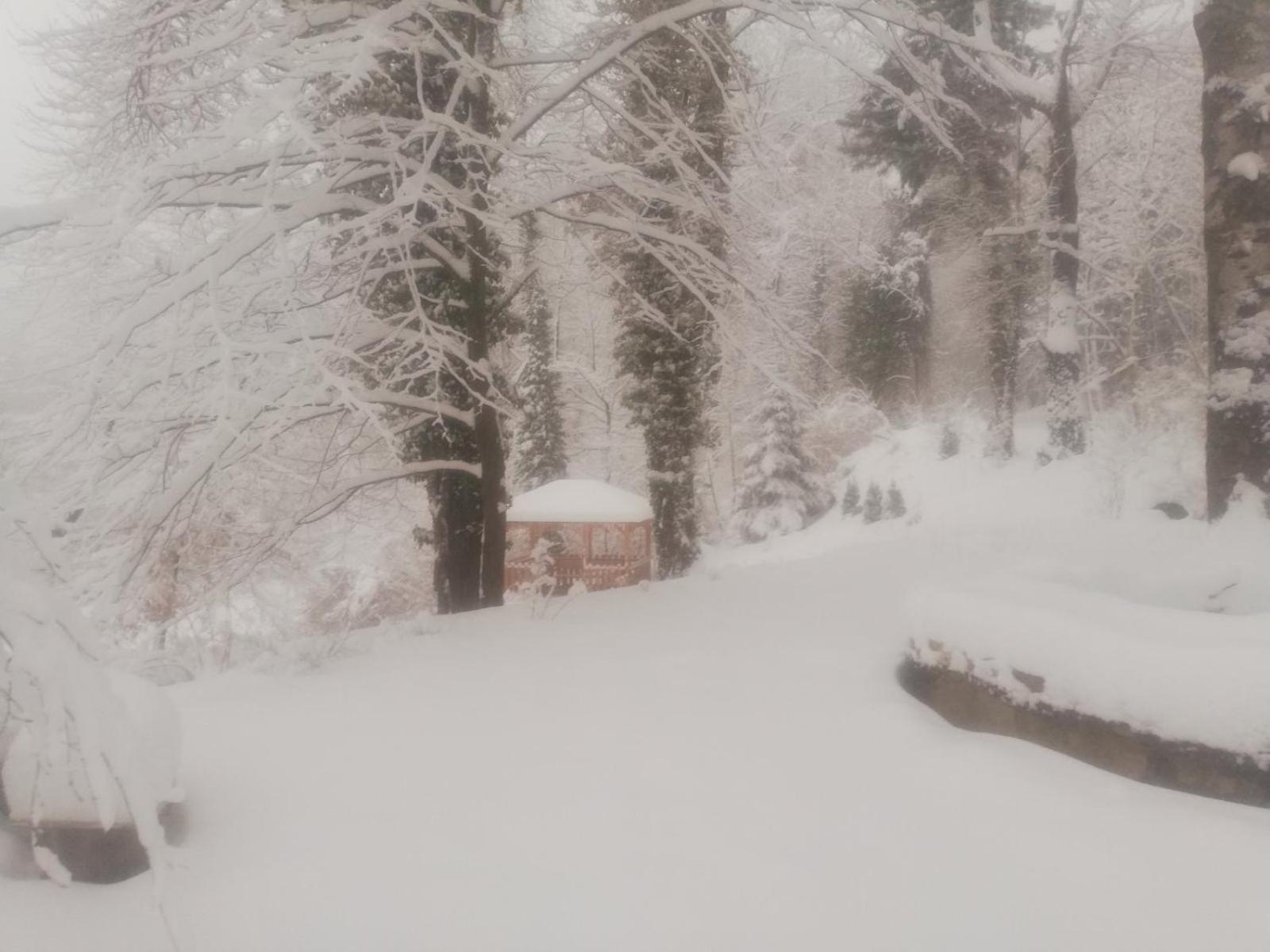 Superior Villa - Photo 28