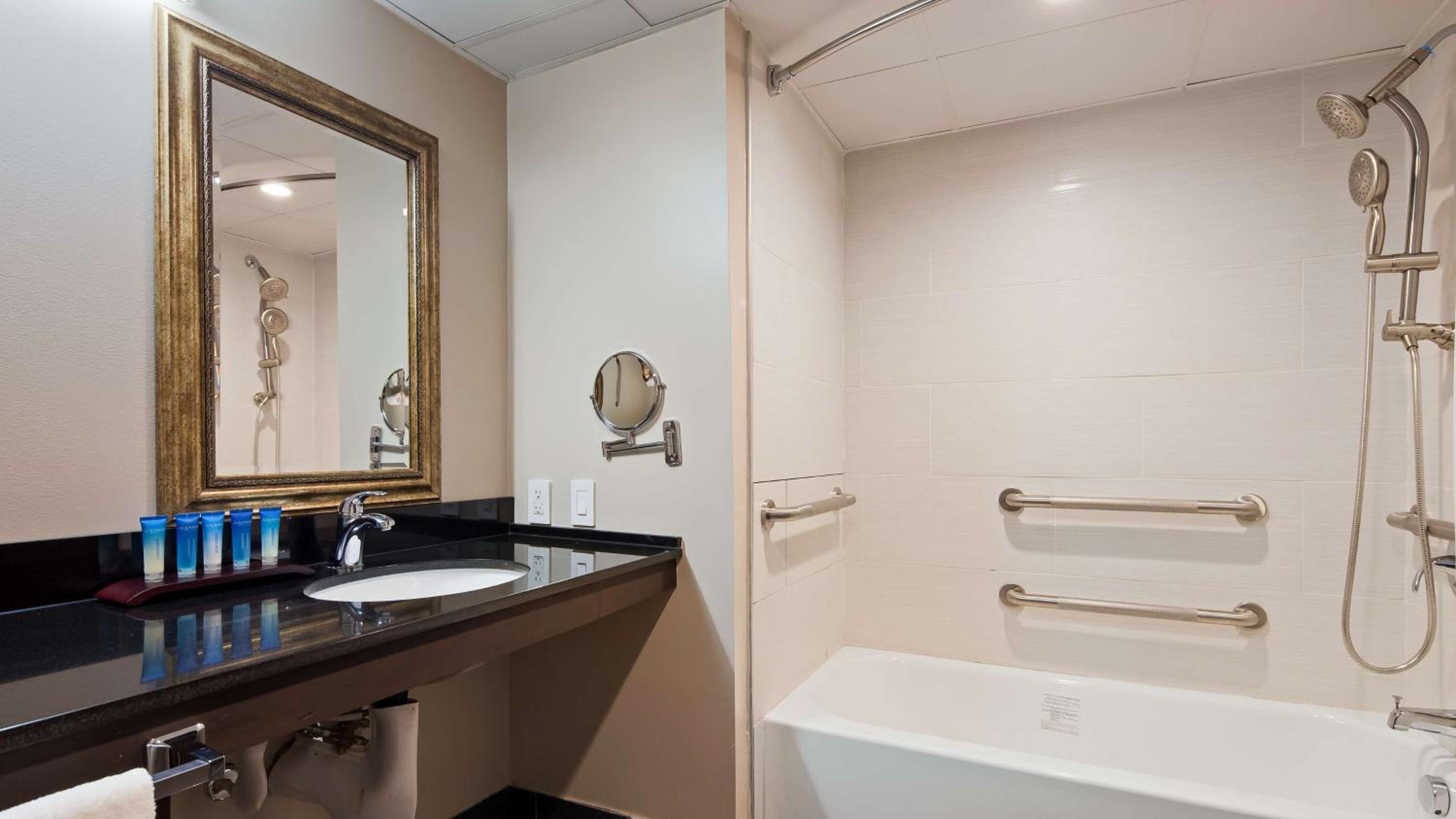 Radisson Hotel Southfield-Detroit, 사진 2