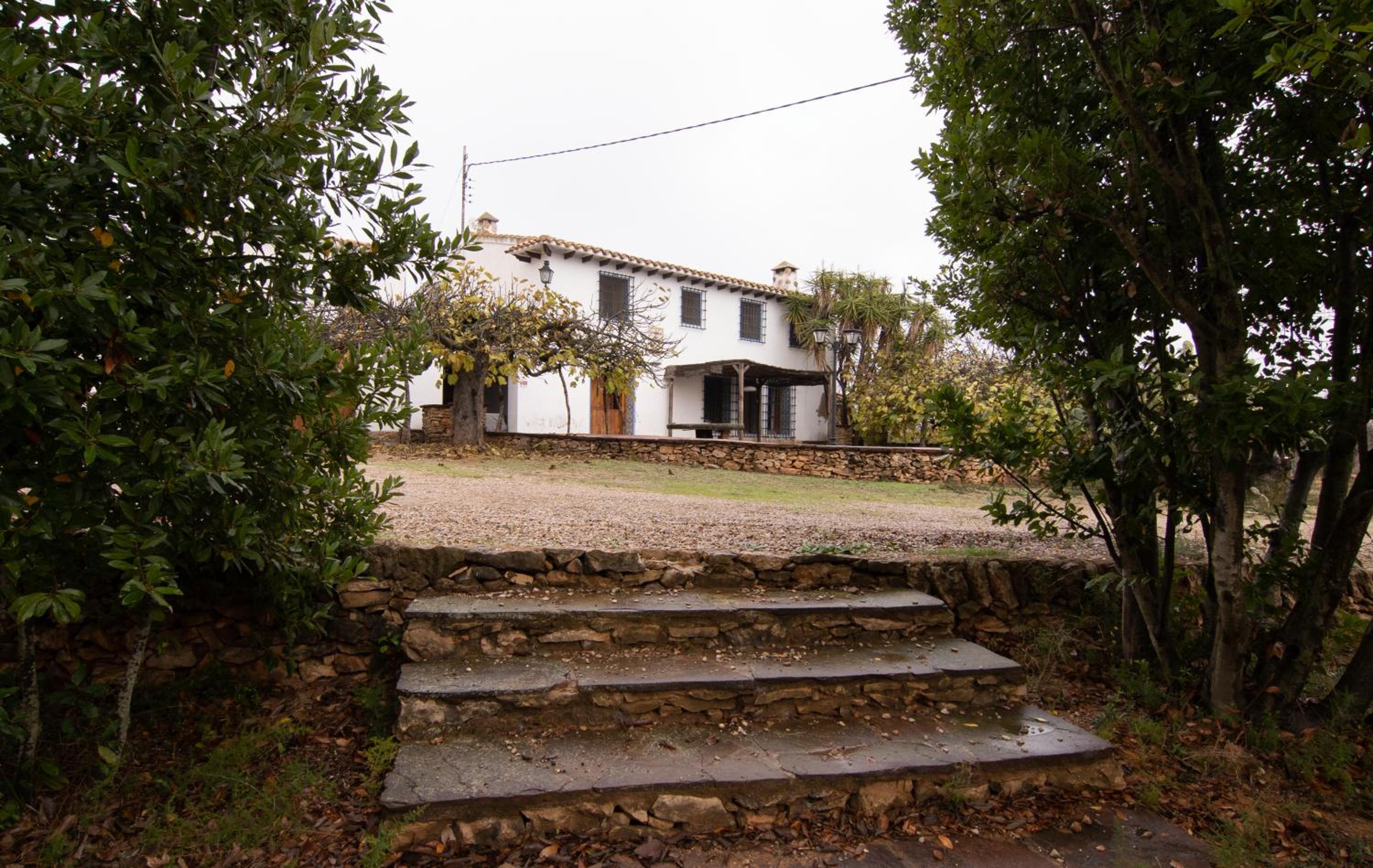 Four-Bedroom House photo 2