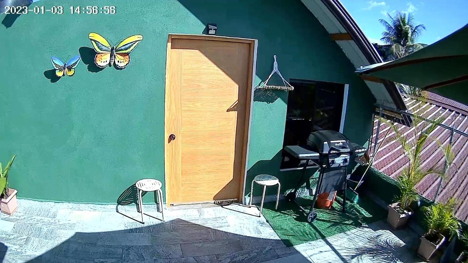 Studio with Terrace photo 2