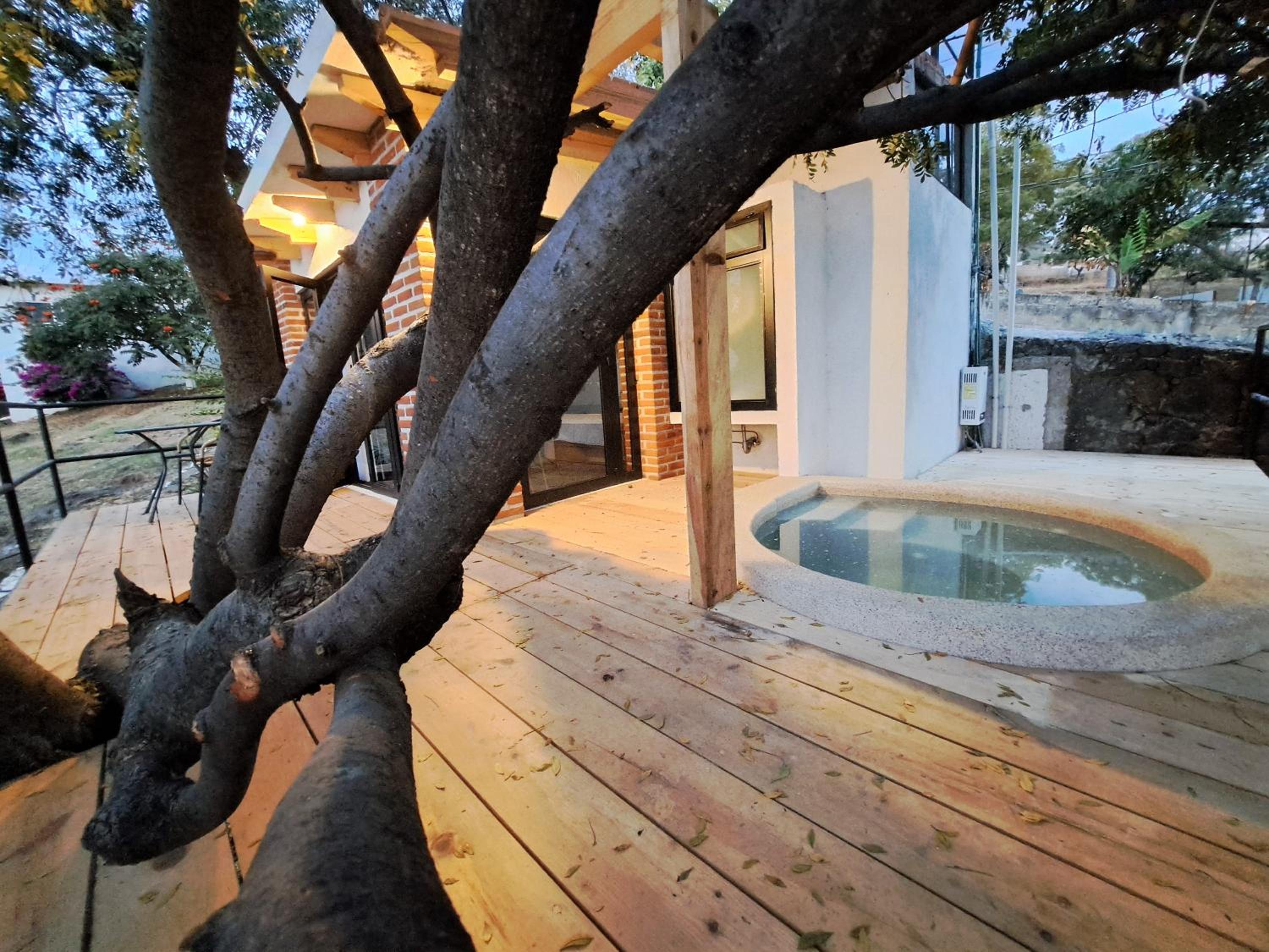 Deluxe Bungalow - Photo 7