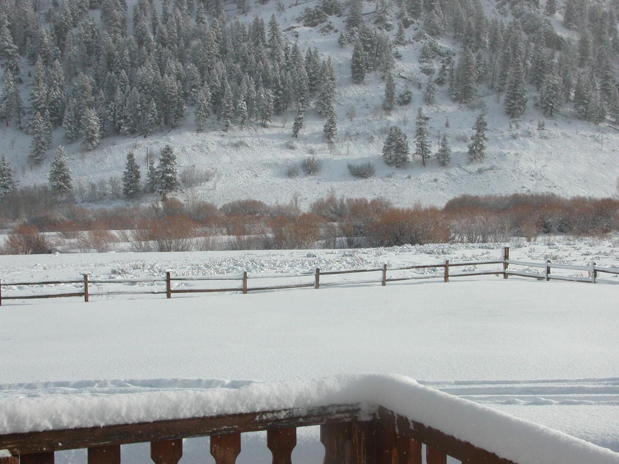 Vacation Home photo 3