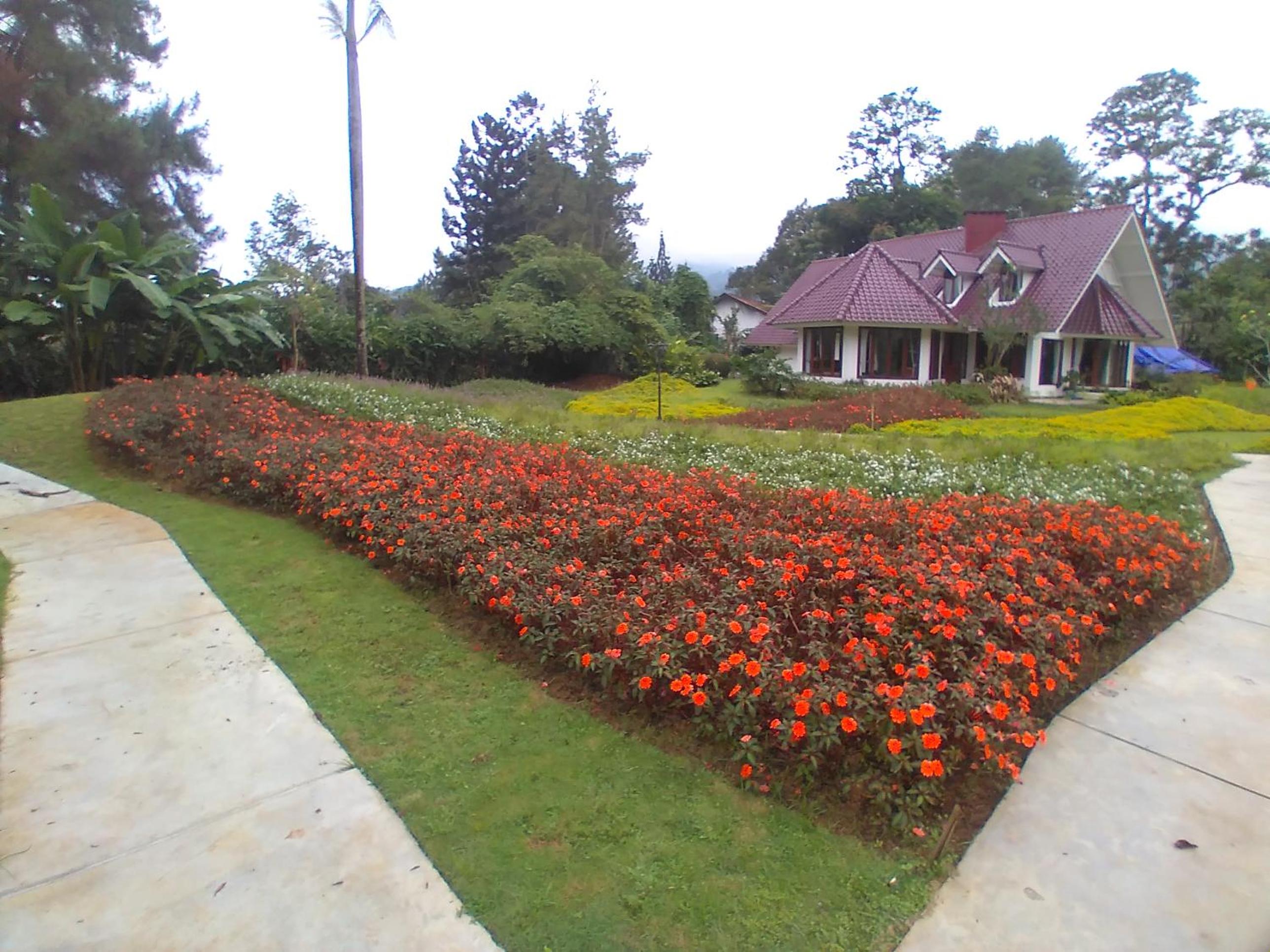 Villa with Private Pool - Photo 27