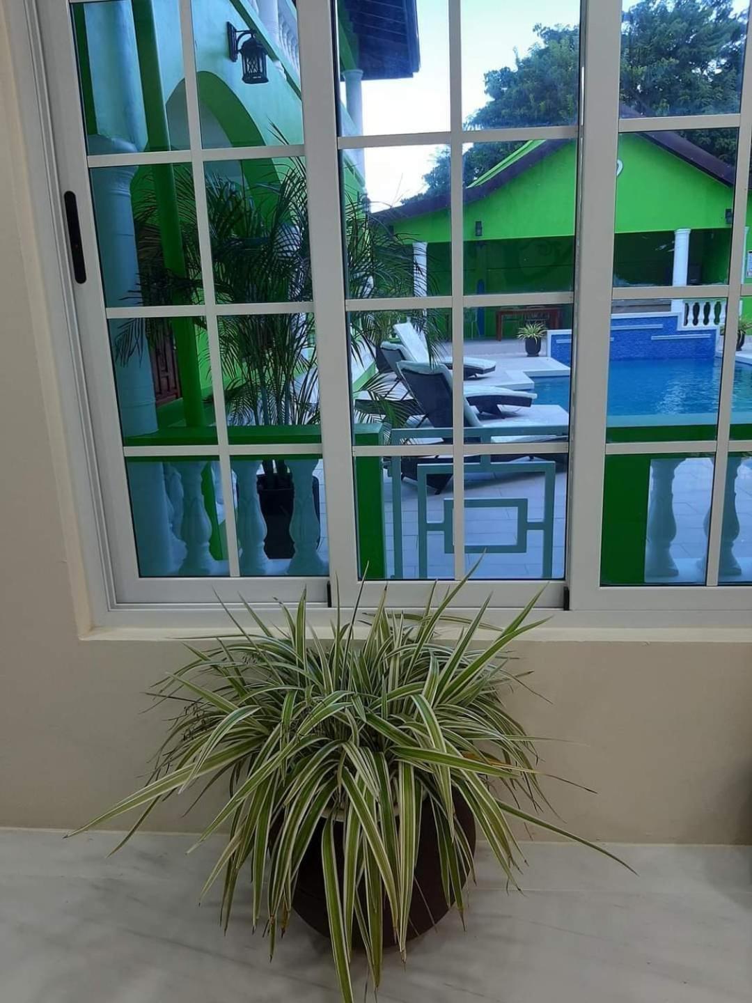 Apartment with Pool View  photo 3