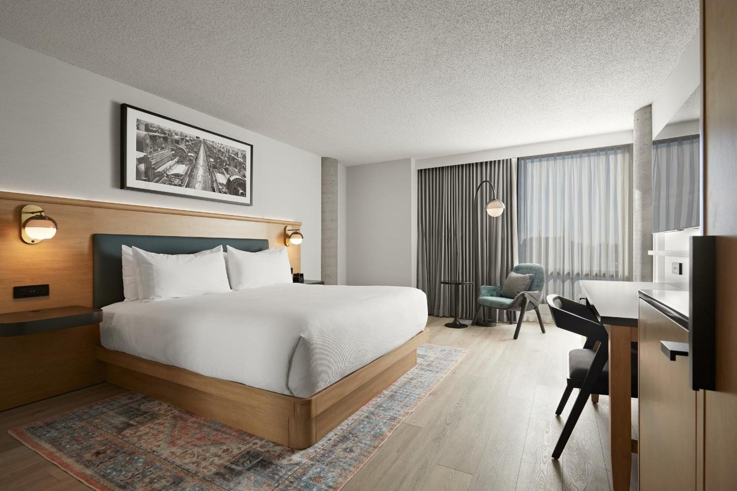 King Room photo 1