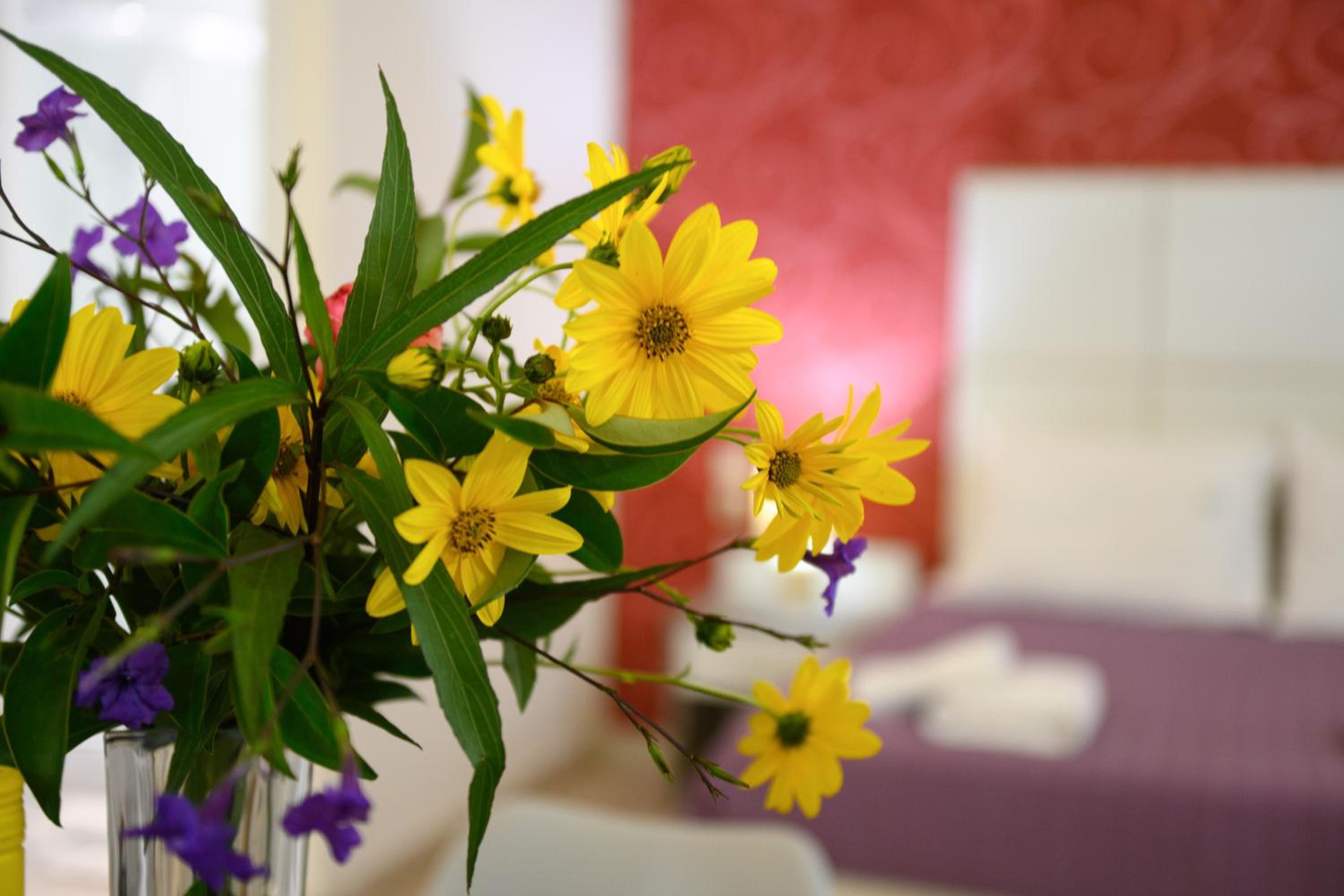 Triple Room with Terrace