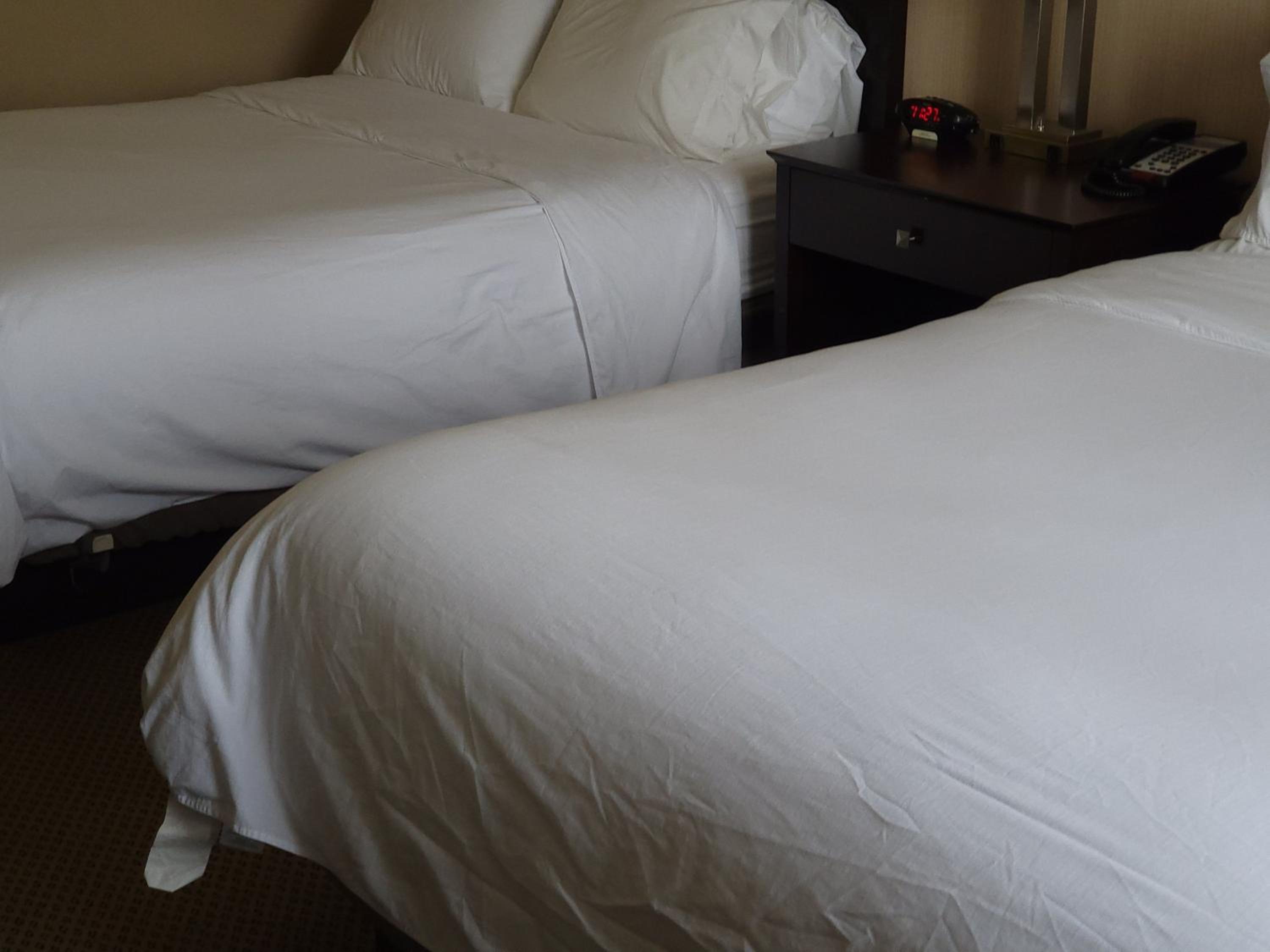 Queen Suite with Two Queen Beds photo 2