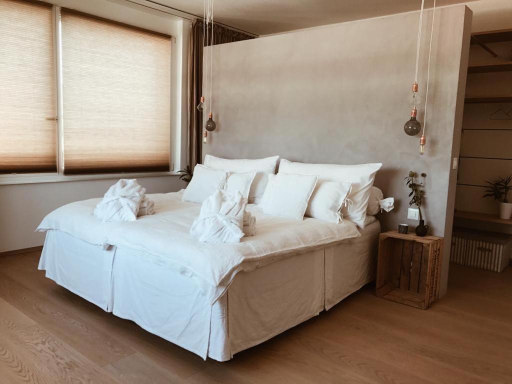 Deluxe One-Bedroom Apartment with Terrace photo 1