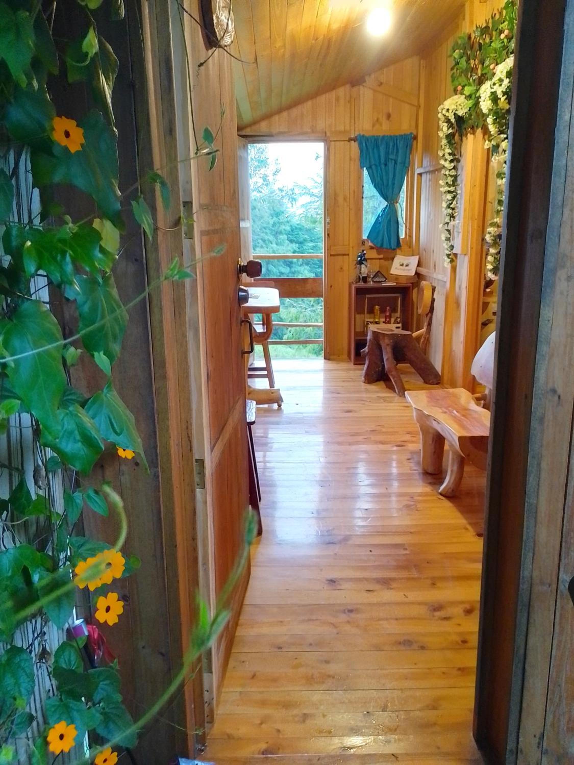 Quadruple Room photo 2