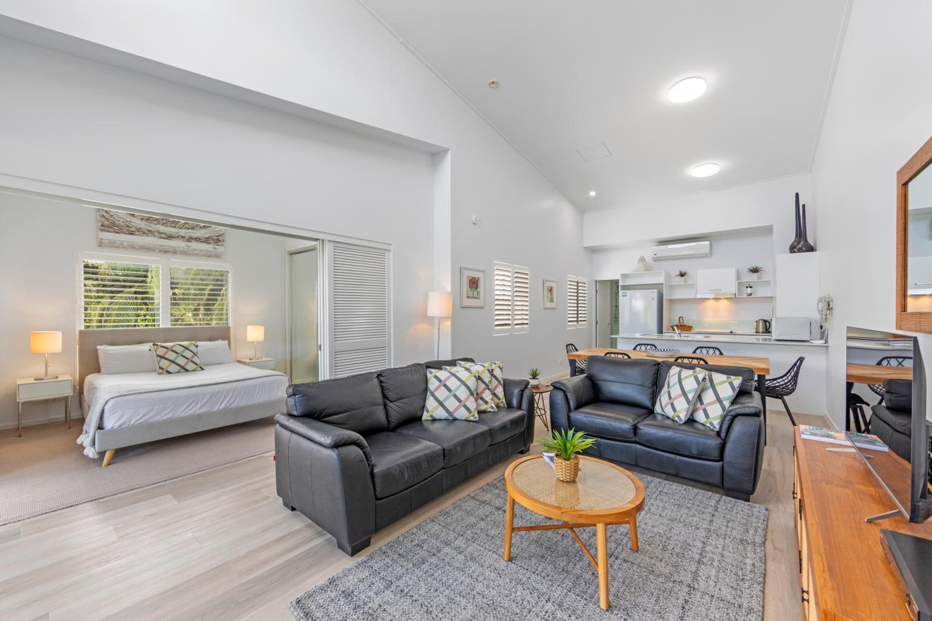 Deluxe One-Bedroom Apartment