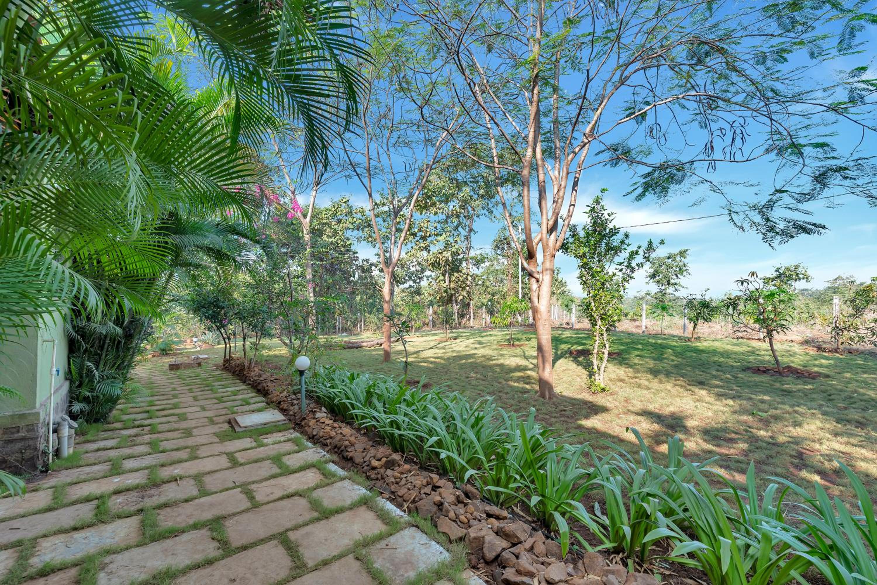 Three-Bedroom Villa photo 2