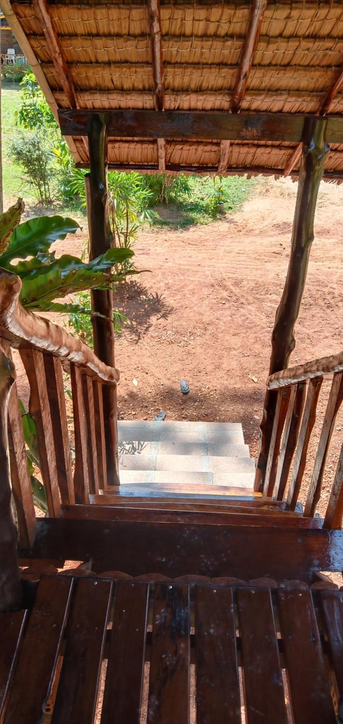 Deluxe Villa photo 3