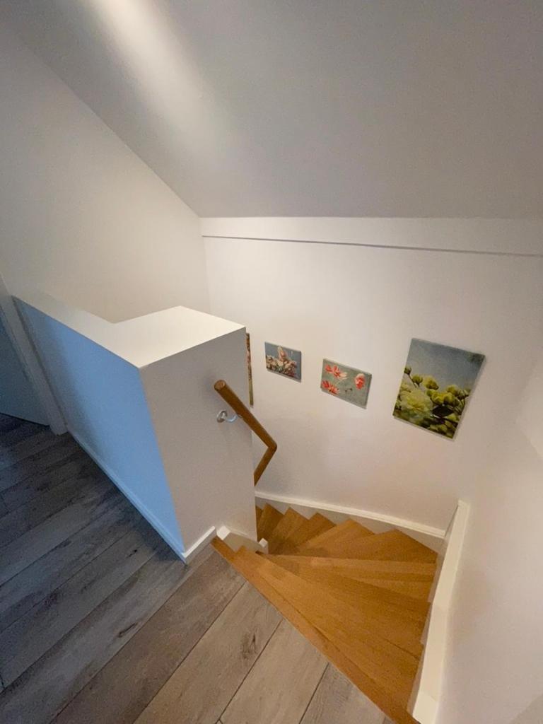 Apartment with Terrace photo 3