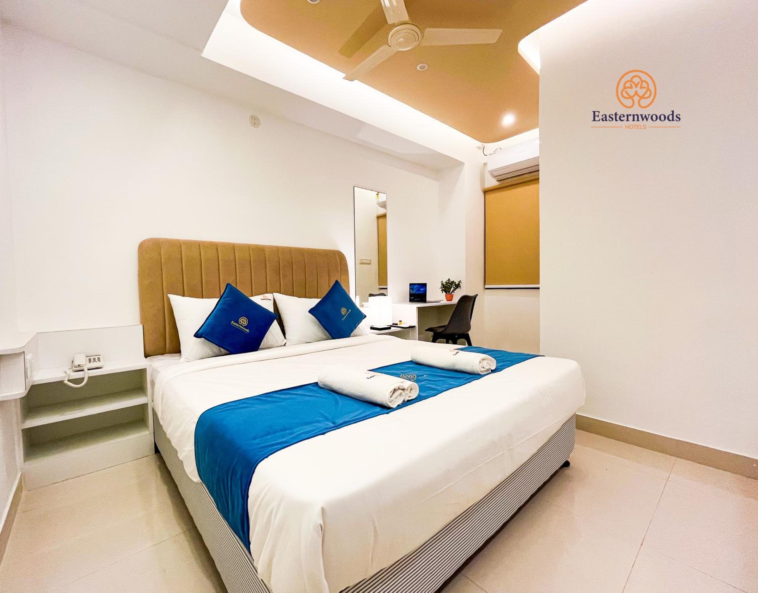Deluxe King  Room - Photo 9